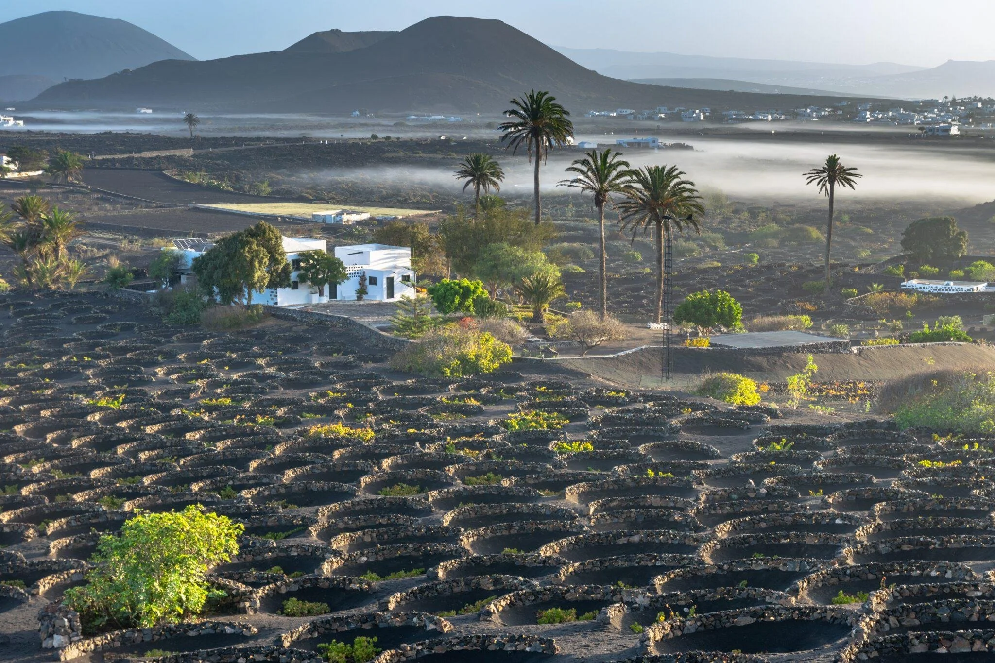 Where to Stay in Lanzarote: Which Area Is Right for You?