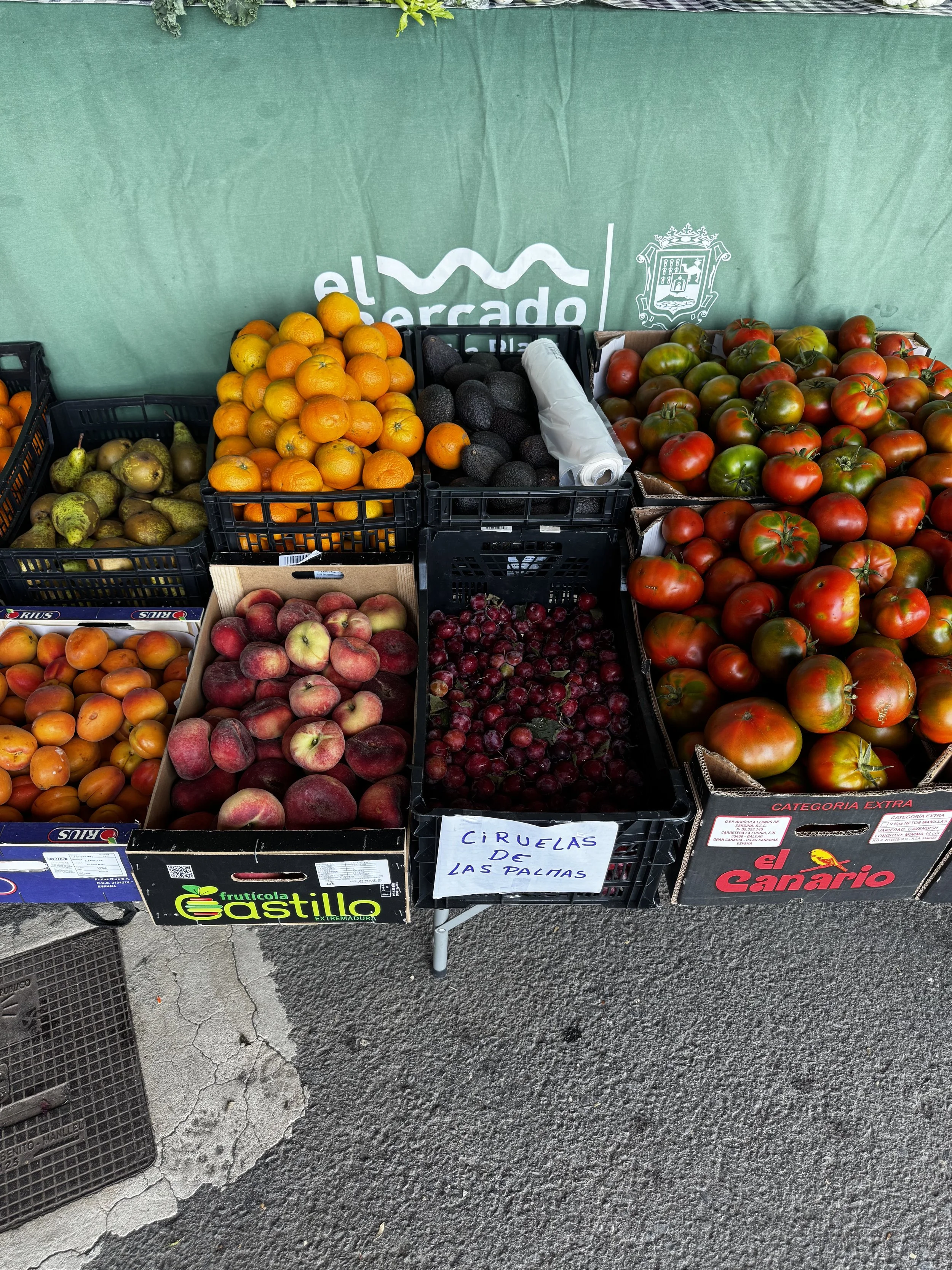 ocal-produce-mancha-blanca-lanzarote.jpg