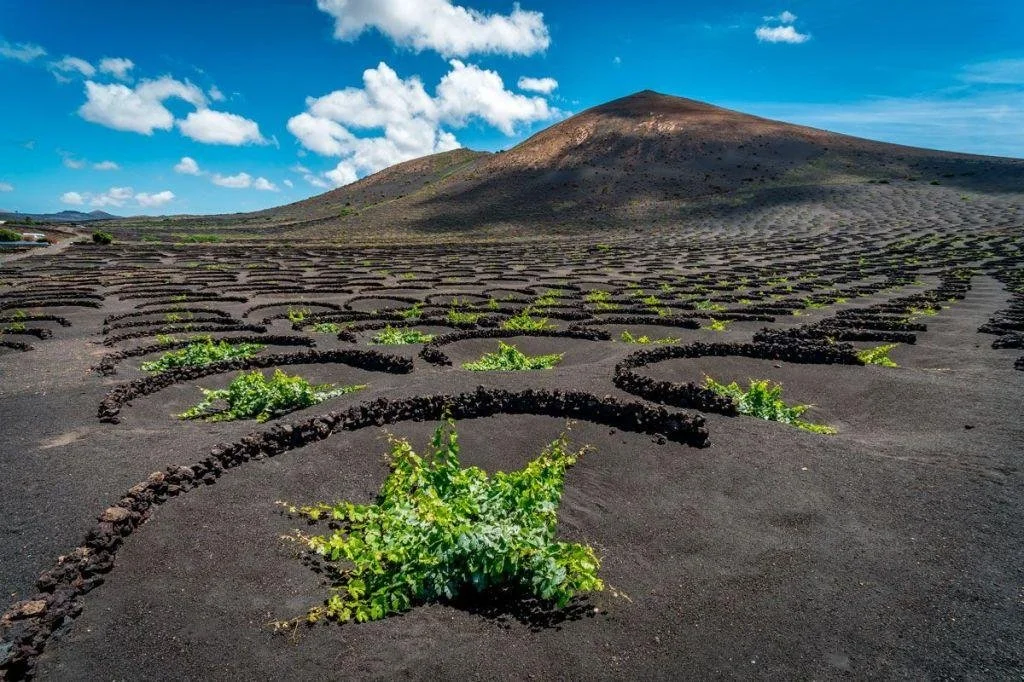 La Geria Lanzarote inside.jpg