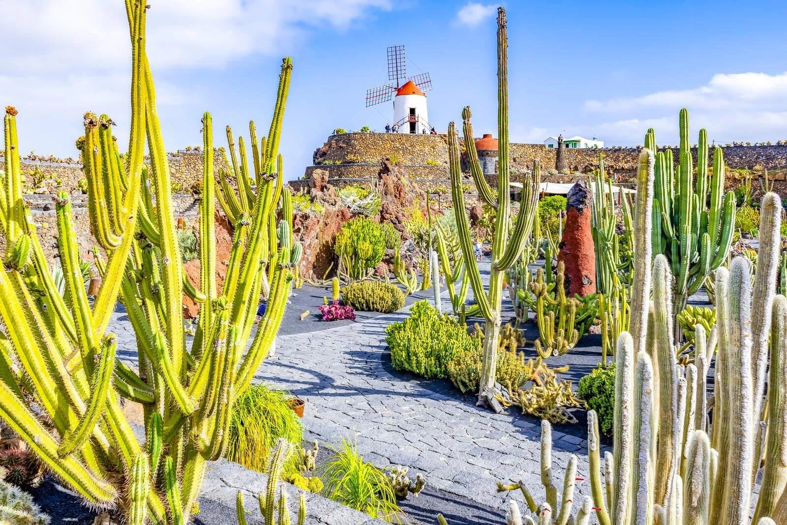 Jardin de Cactus in Guatiza Lanzarote.jpg