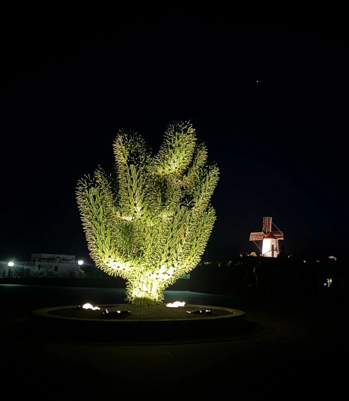 Guatiza Lanzarote jardin de cactus by night.jpg