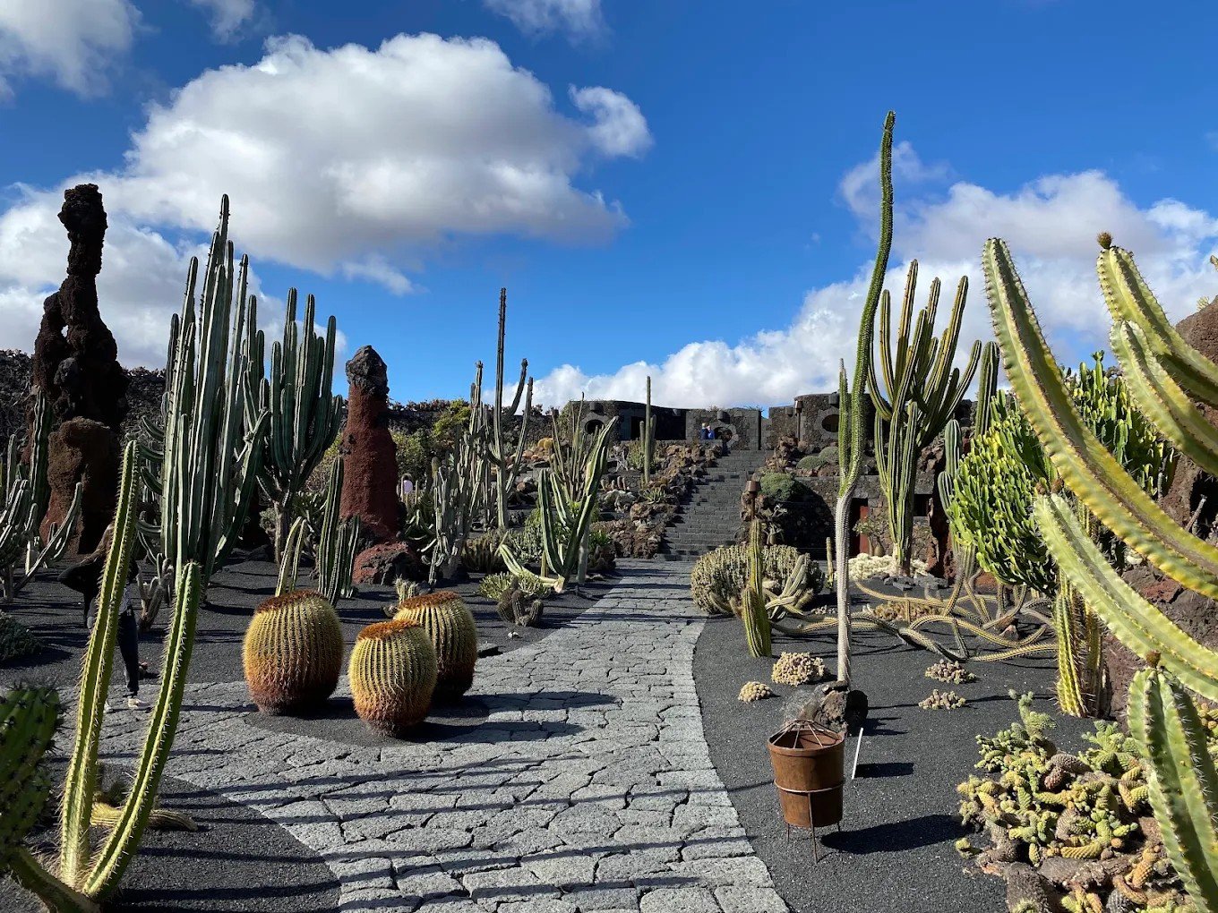 Jardin de Cactus.jpg