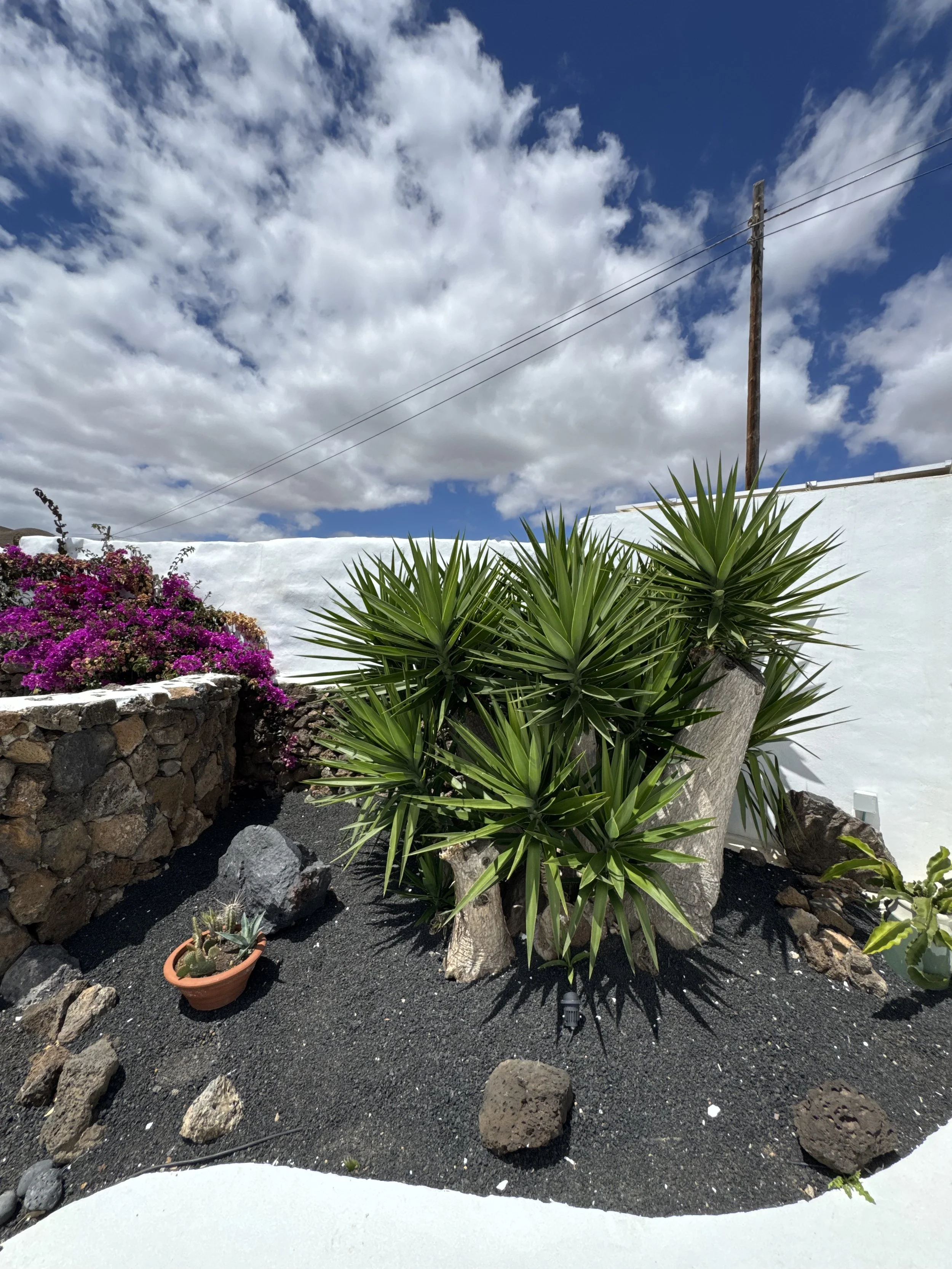 holiday private rent with private pool, private terraces, very high reviews high client satisfaction, cozy intimate, delightful holidays in Lanzarote, satifsying stay in canary islands, beautiful design, attention to details and client service