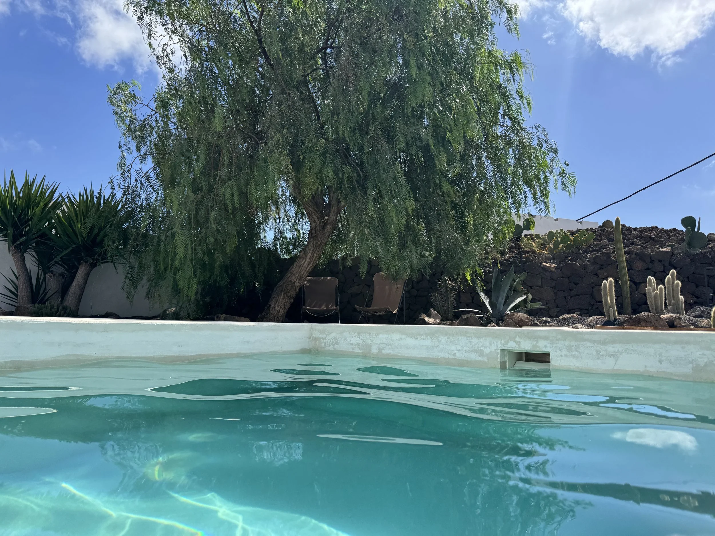Relaxing pool view in the volcanic garden of Casitas Santa Rita Lanzarote