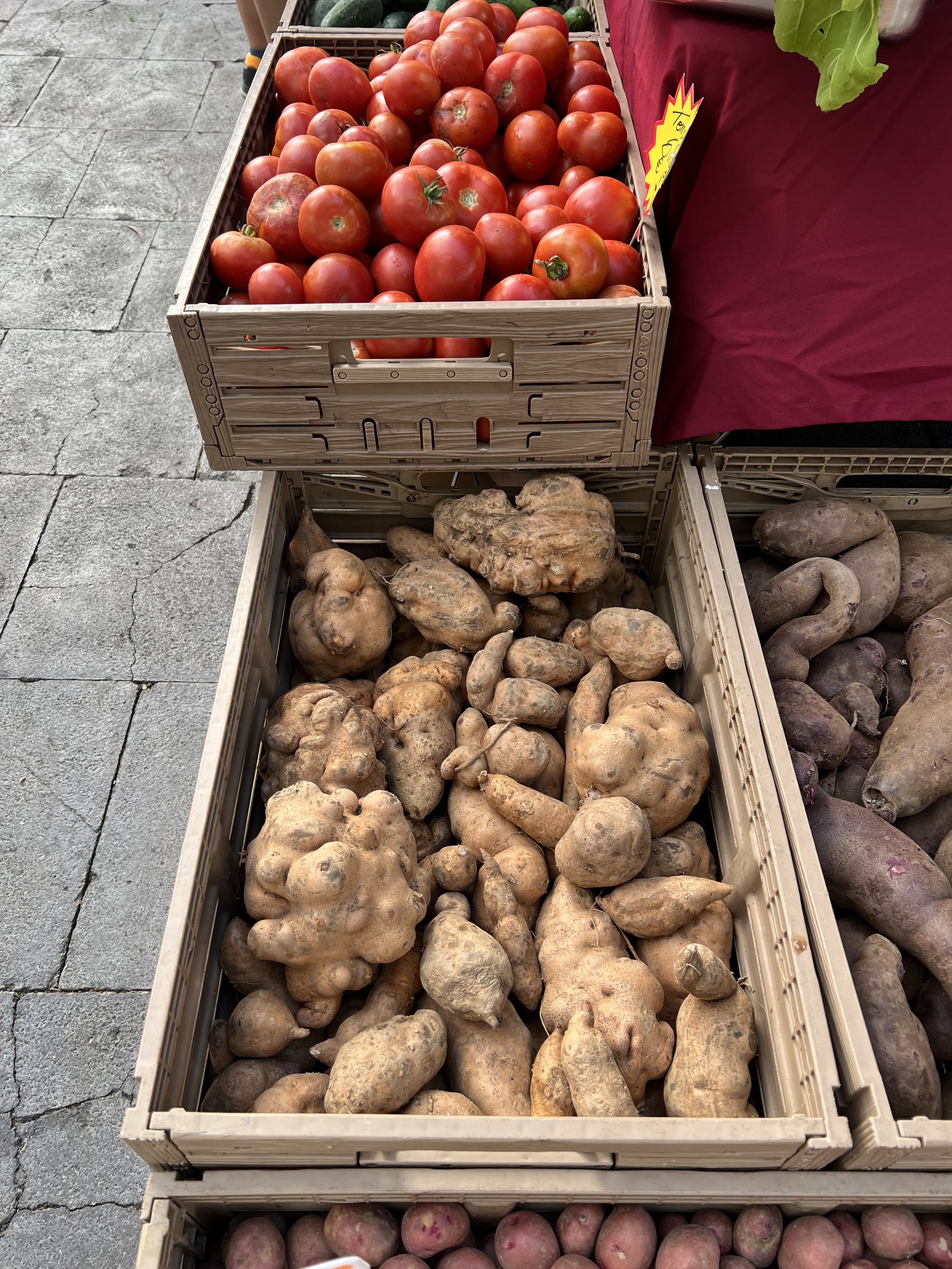Organic vegetables from a local finca at Haría artisan market in Lanzarote.