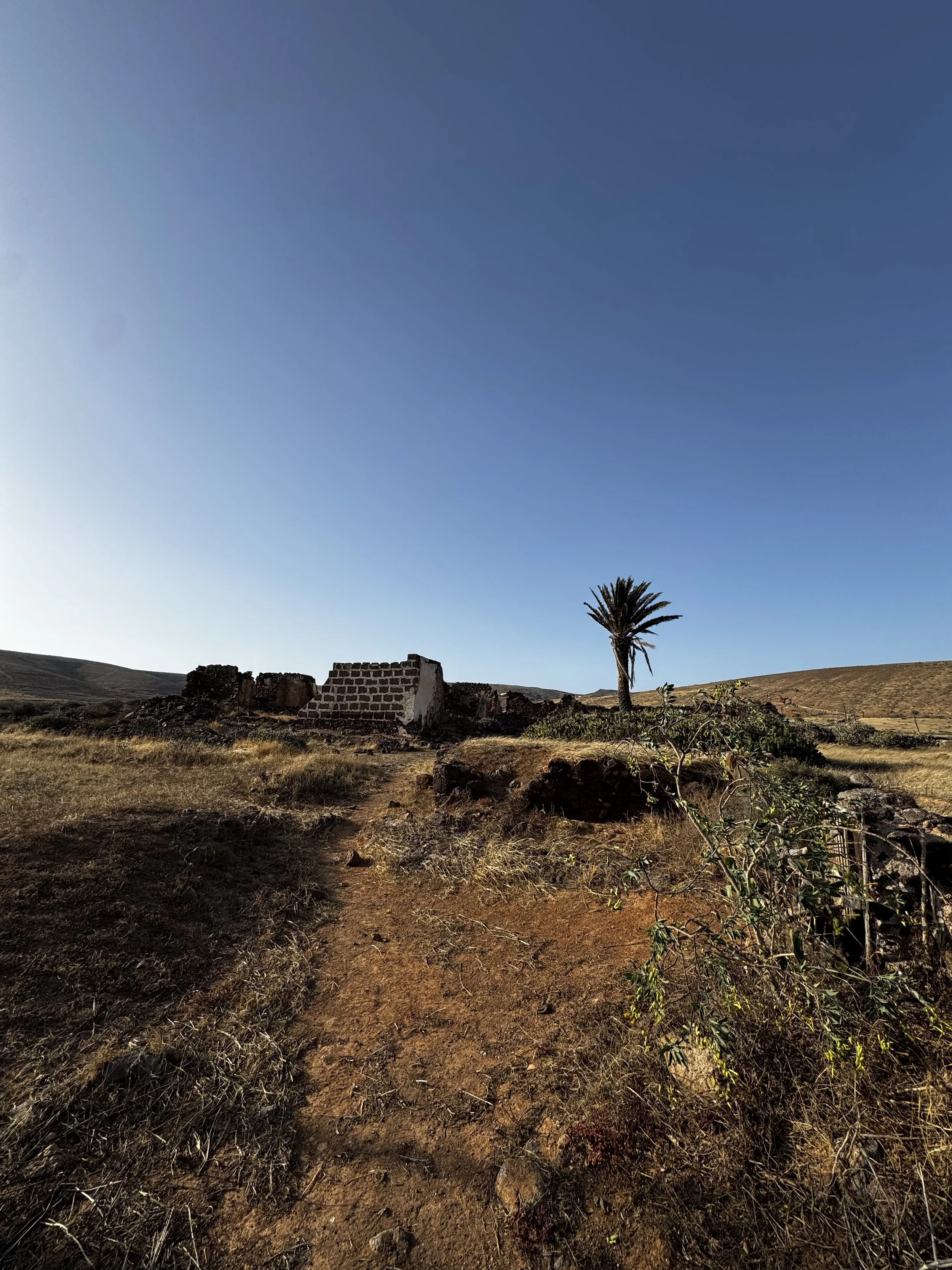 An abandoned traditional farmhouse in a hidden valley of north Lanzarote.