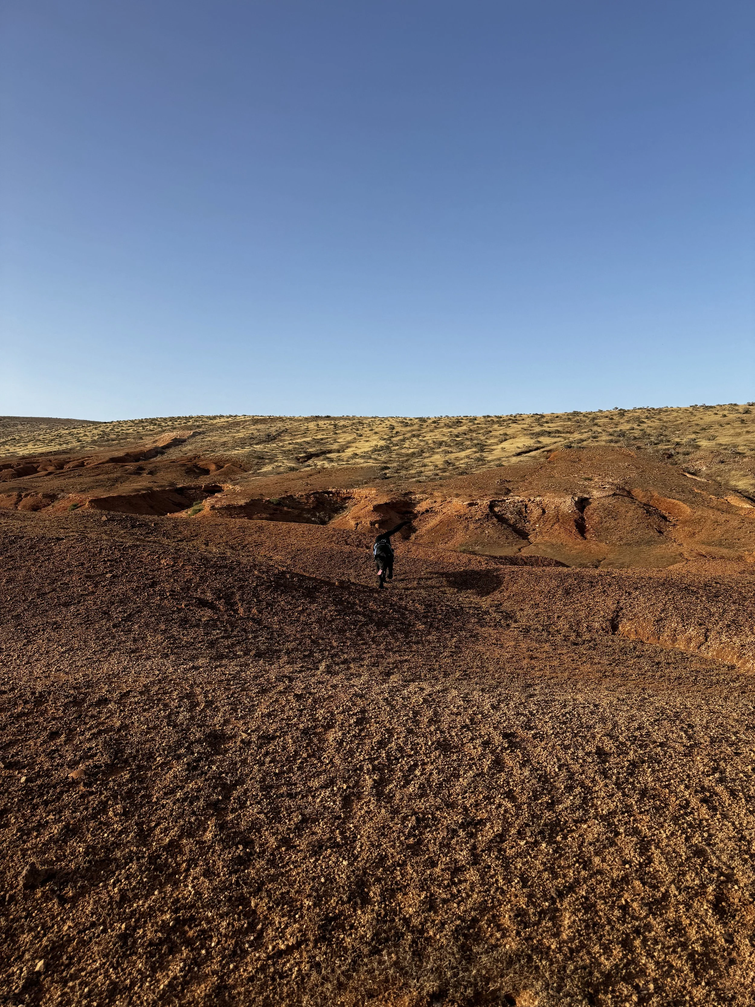Walking through a hidden volcanic valley in north Lanzarote.