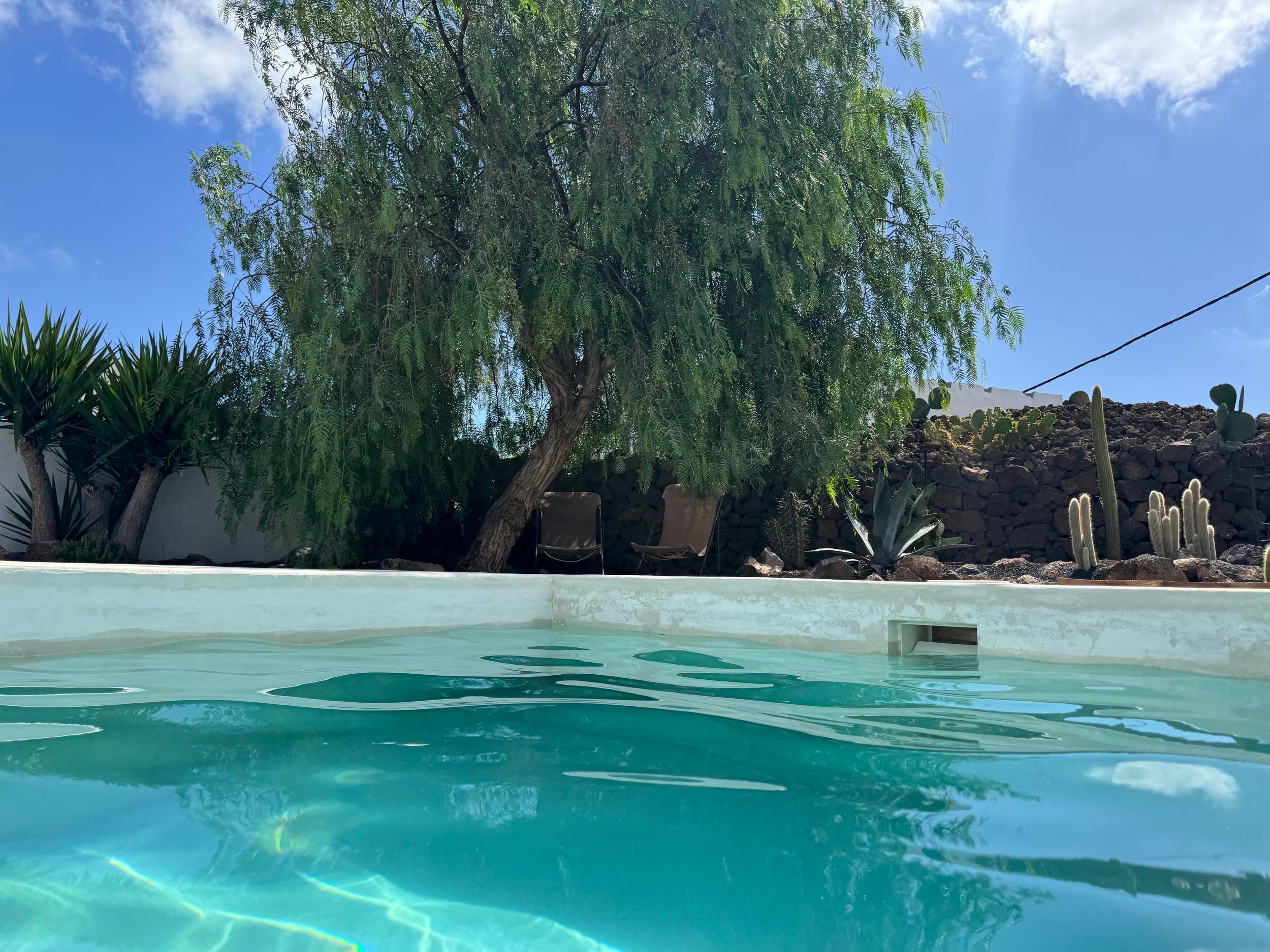 In-ground swimming pool with turquoise water, surrounded by a landscaped backyard with a large tree, cacti, and rock wall, under a partly cloudy blue sky.