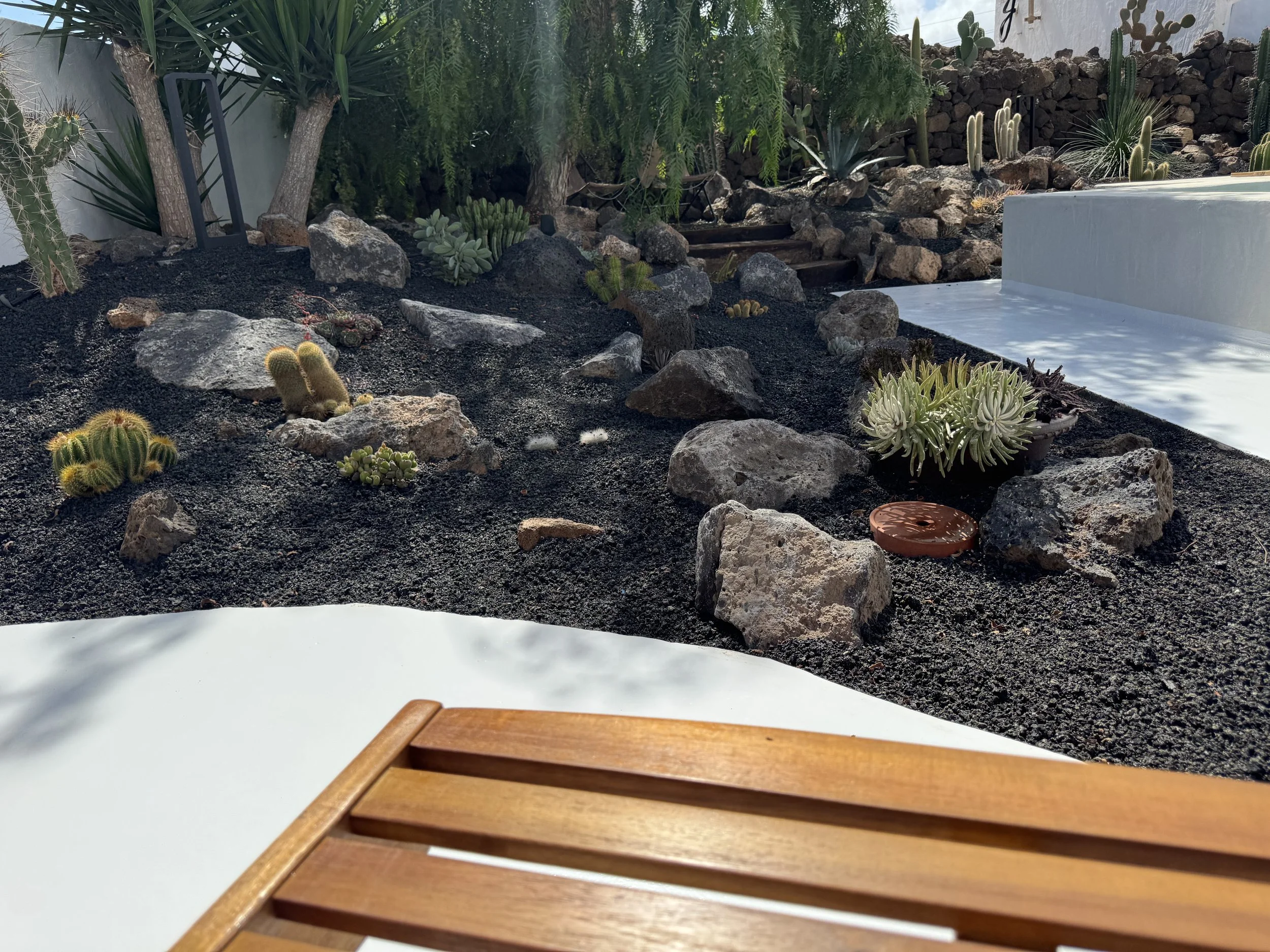 Volcanic garden with mature trees at Casitas Santa Rita Lanzarote