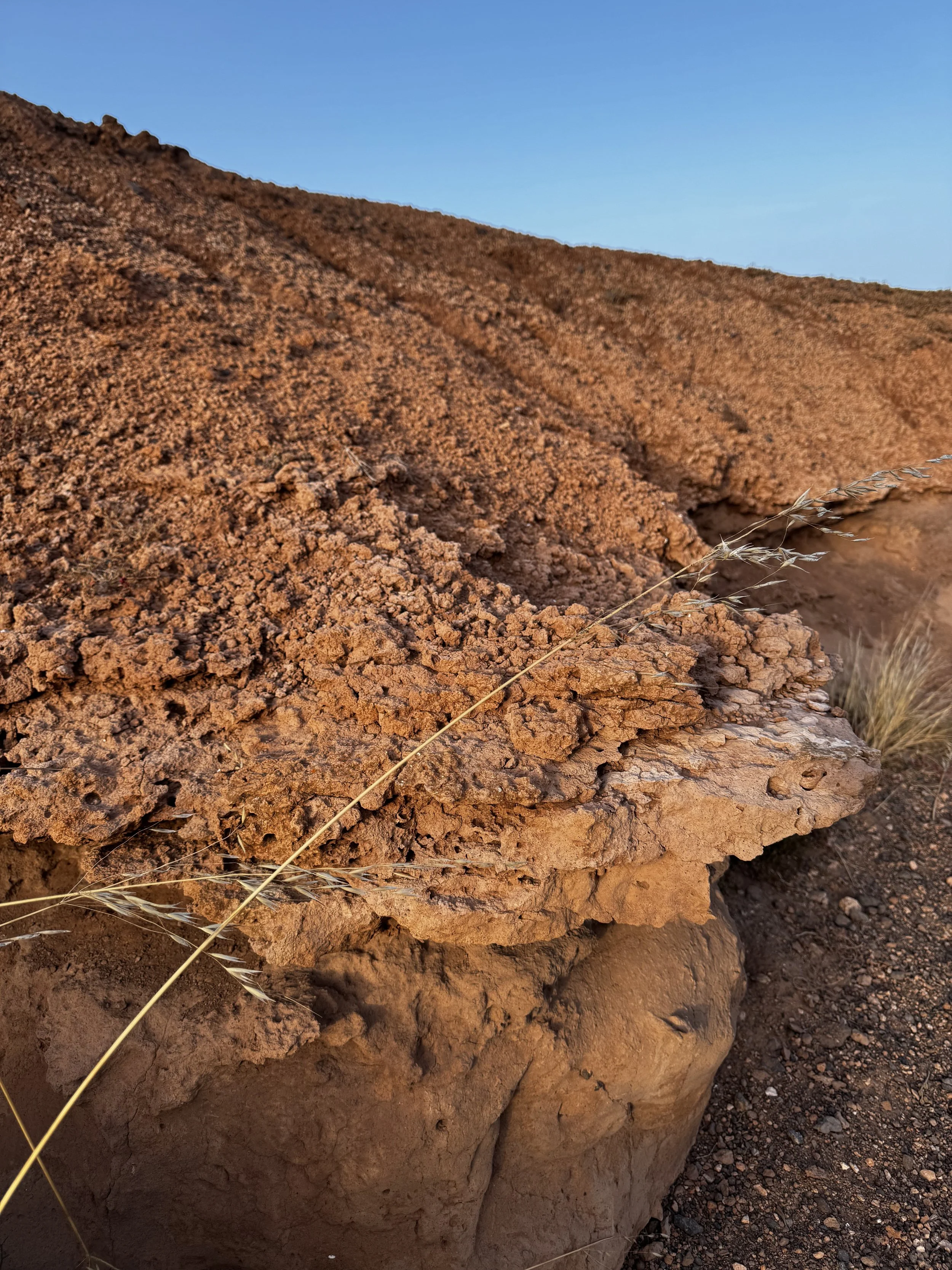 Close-up of volcanic rock revealing the textures of Lanzarote's landscape.