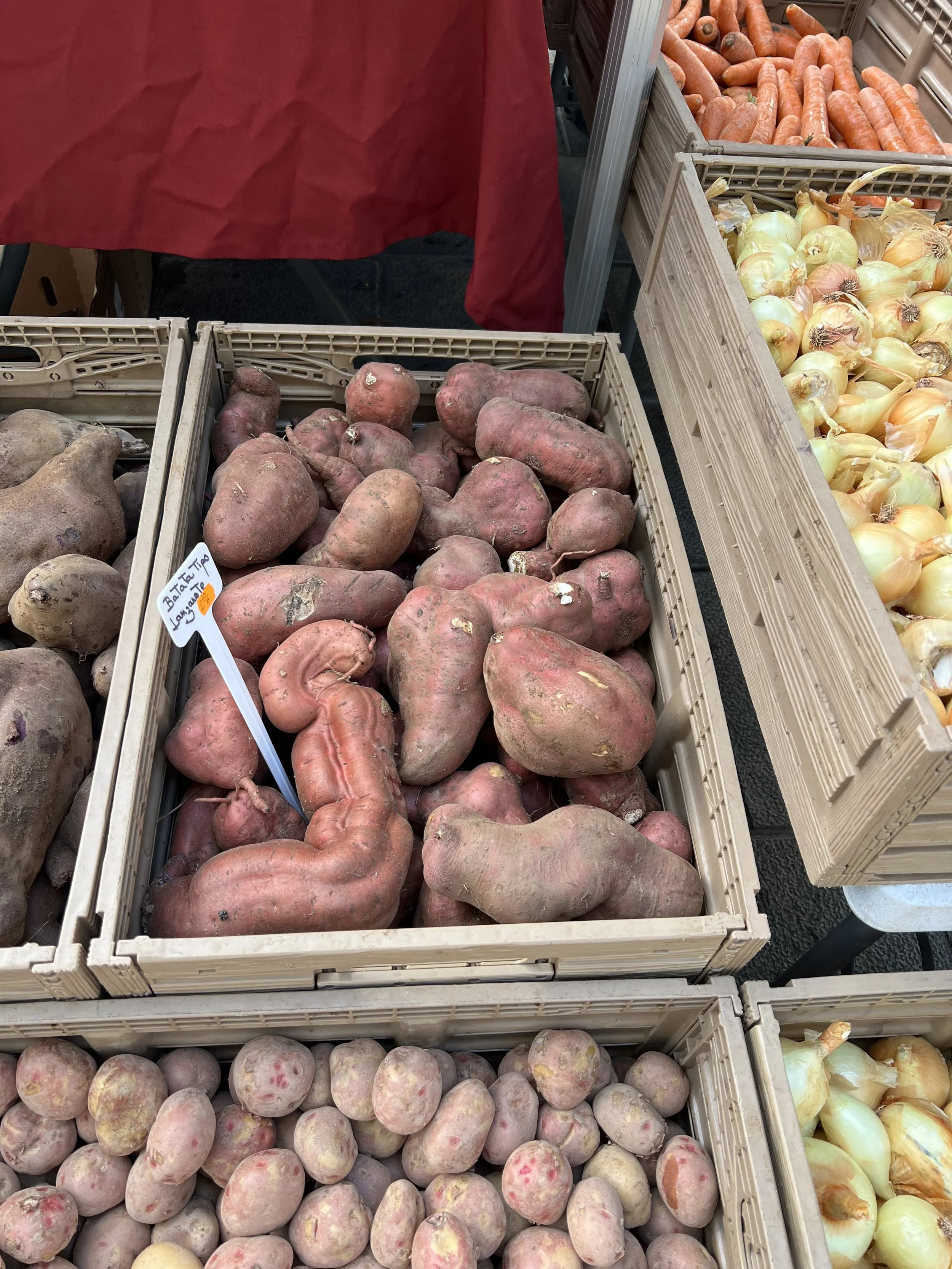 Local artisan market in Haría, Lanzarote, with handmade crafts and organic produce