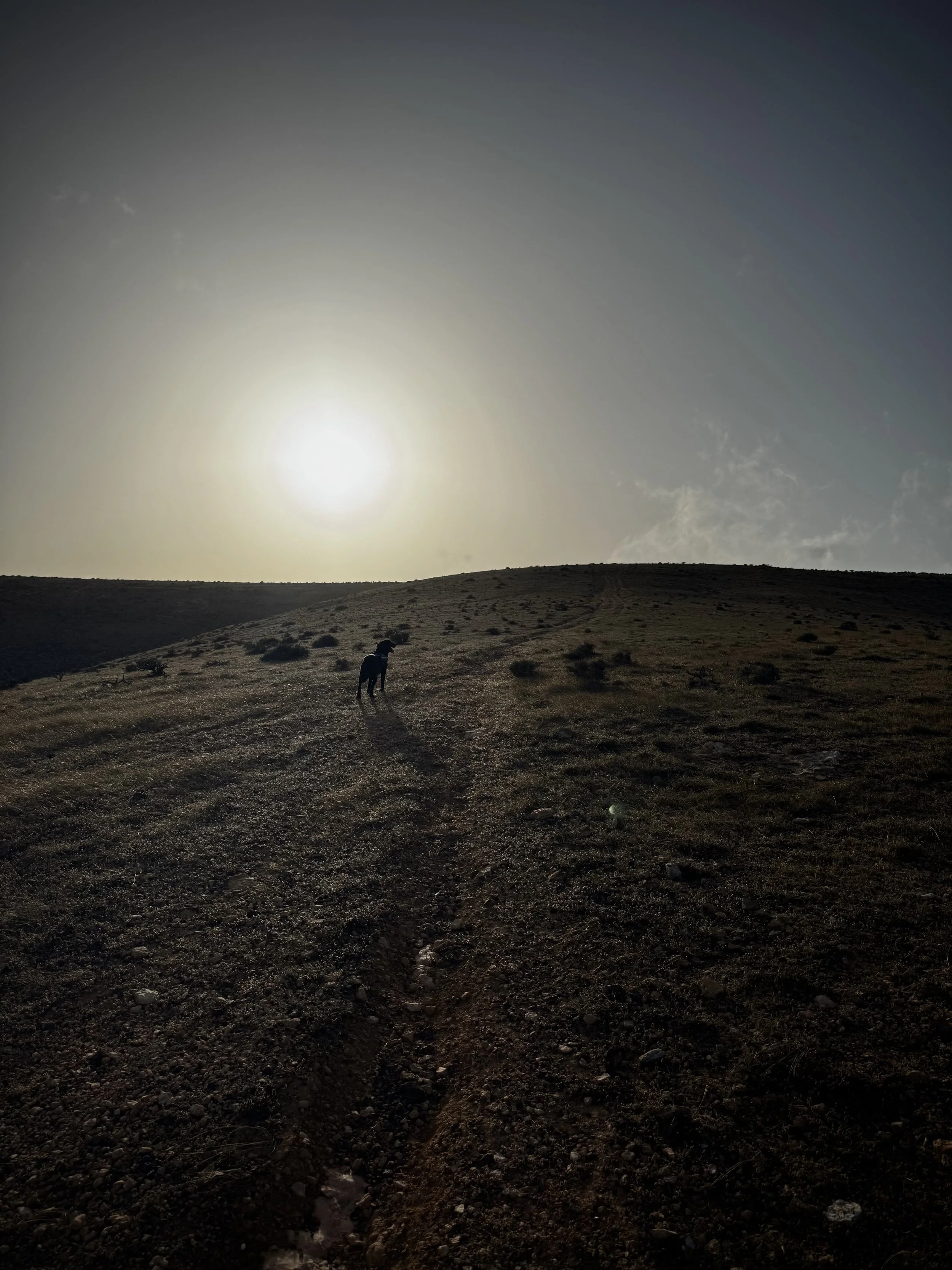 Walking through the quiet landscapes of north Lanzarote at the end of another discovery.