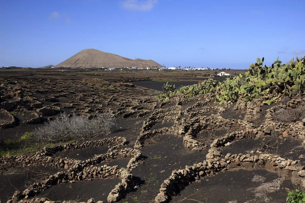 Traditional volcanic farmland between La Vegueta and Mancha Blanca, Lanzarote