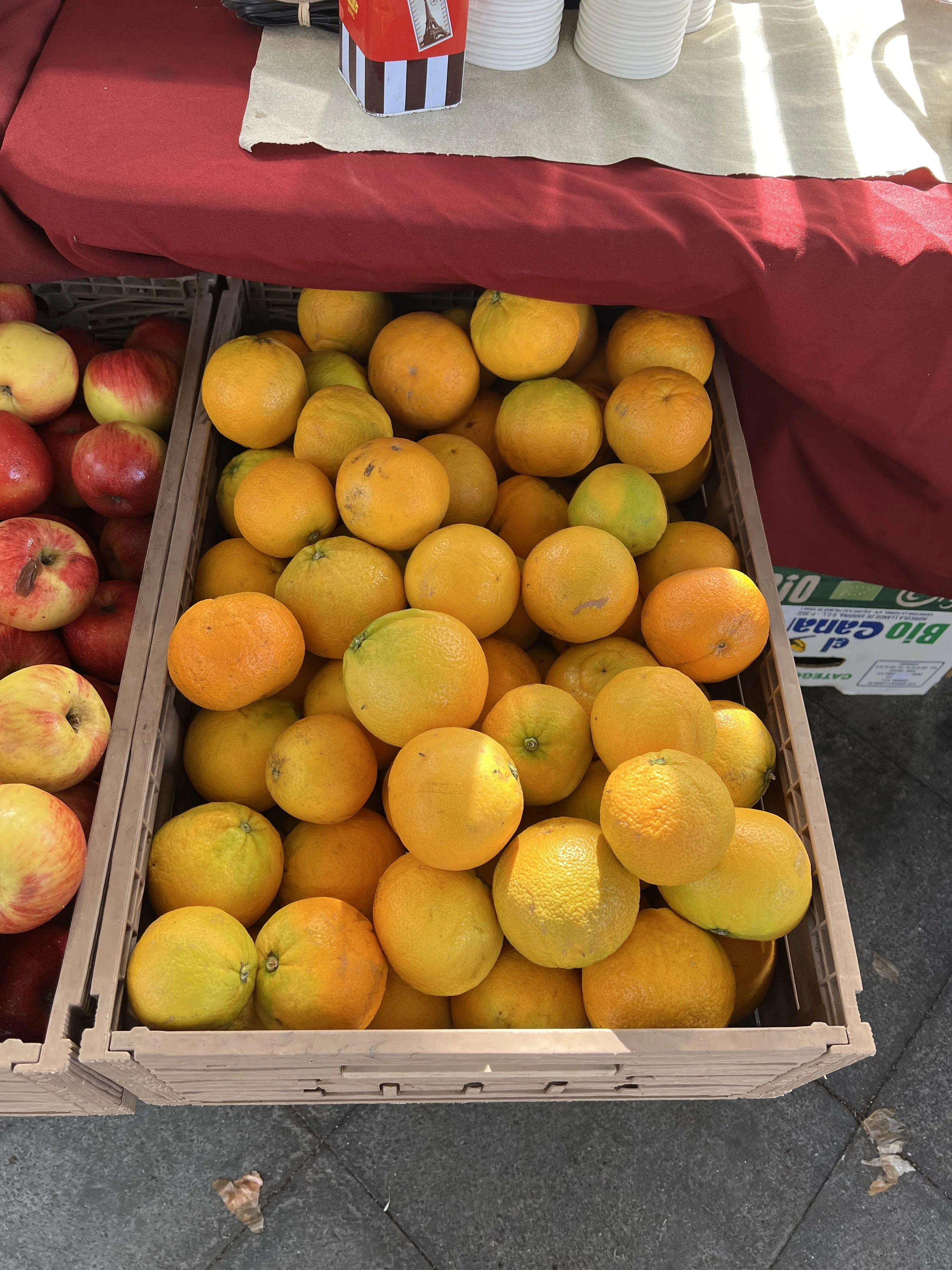 Fresh organic oranges from a local farm in northern Lanzarote.
