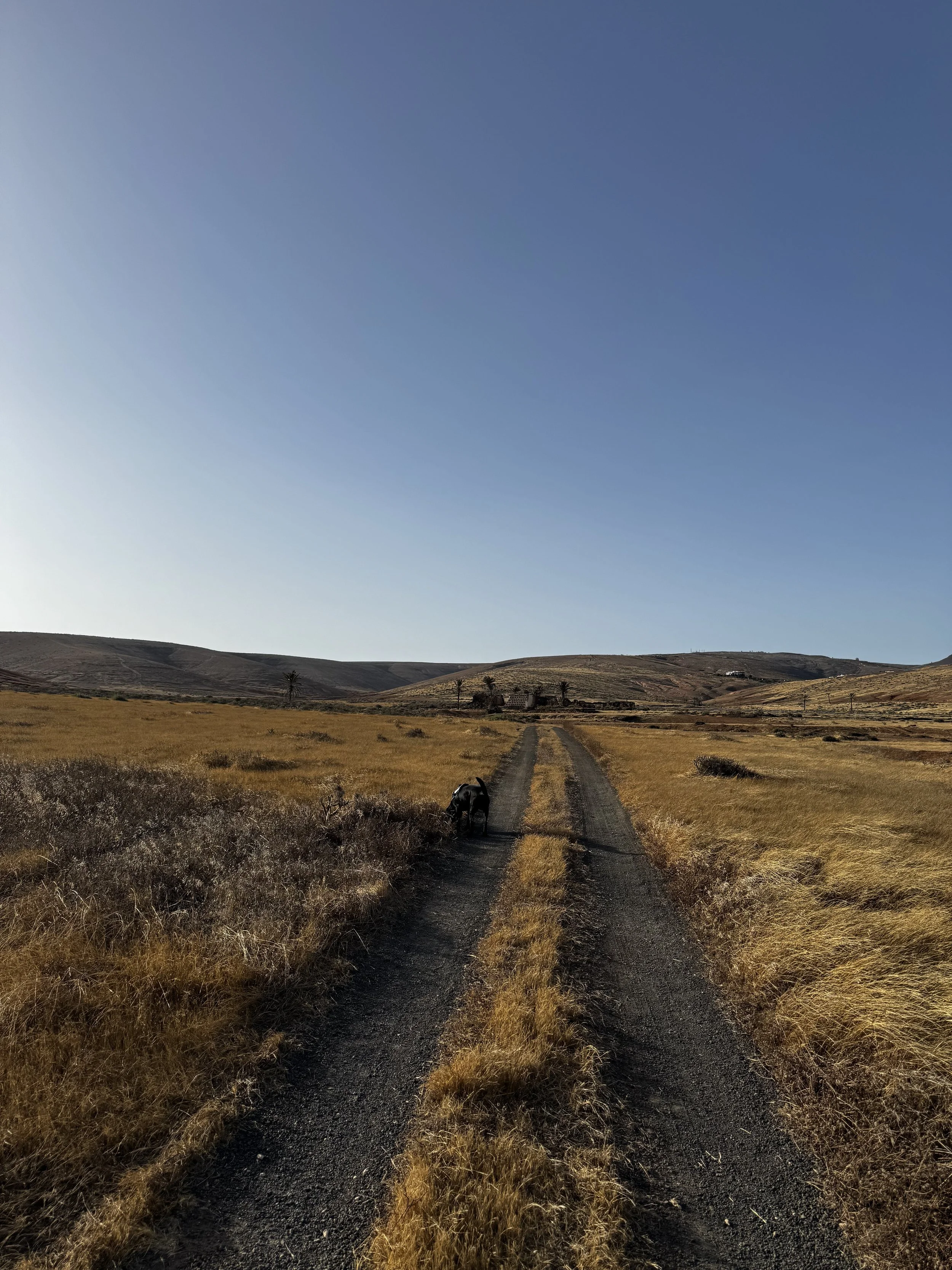 Dirt road leading through a hidden valley in north Lanzarote.