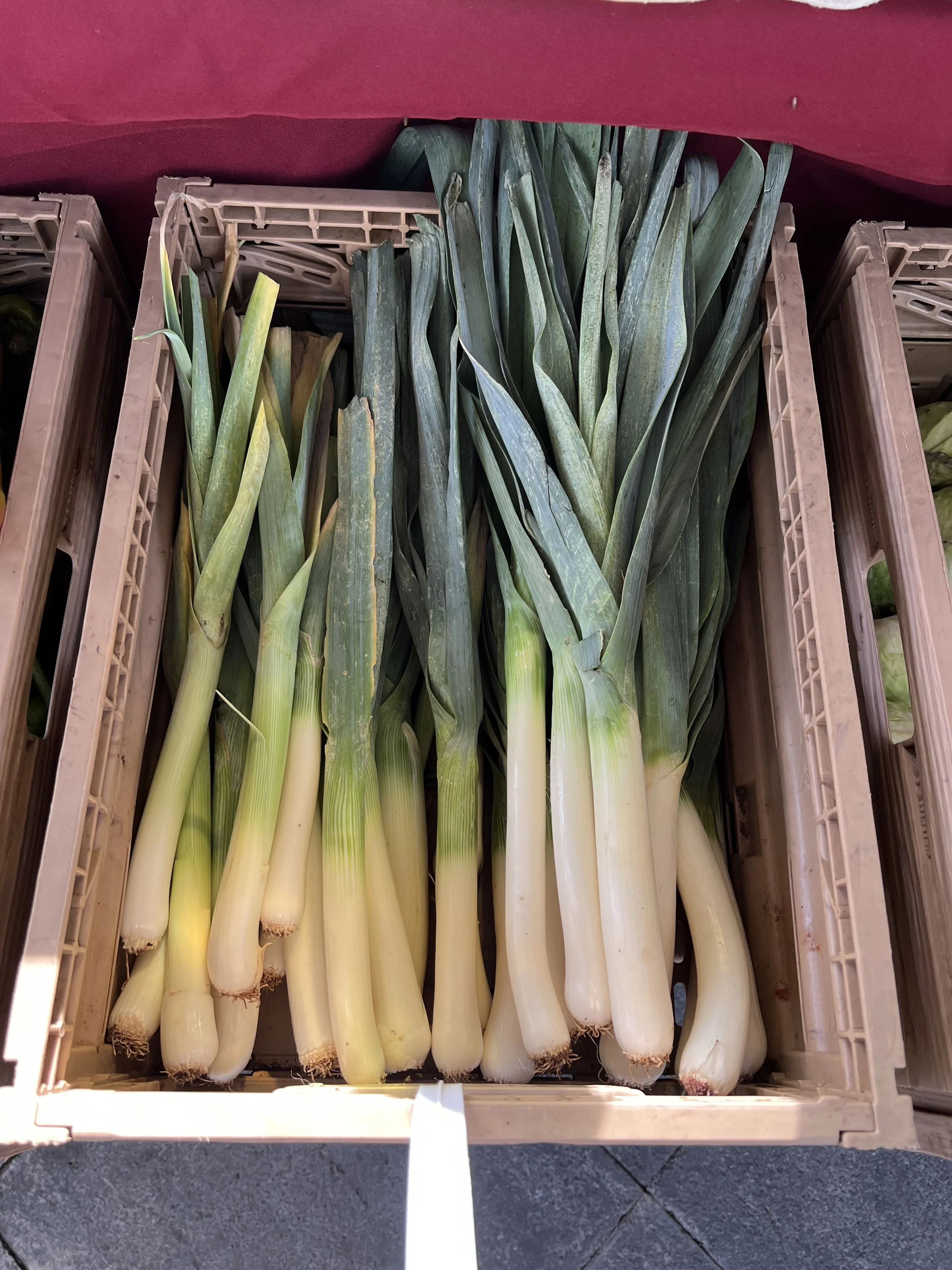 Organic vegetables from a local finca at Haría artisan market in Lanzarote.
