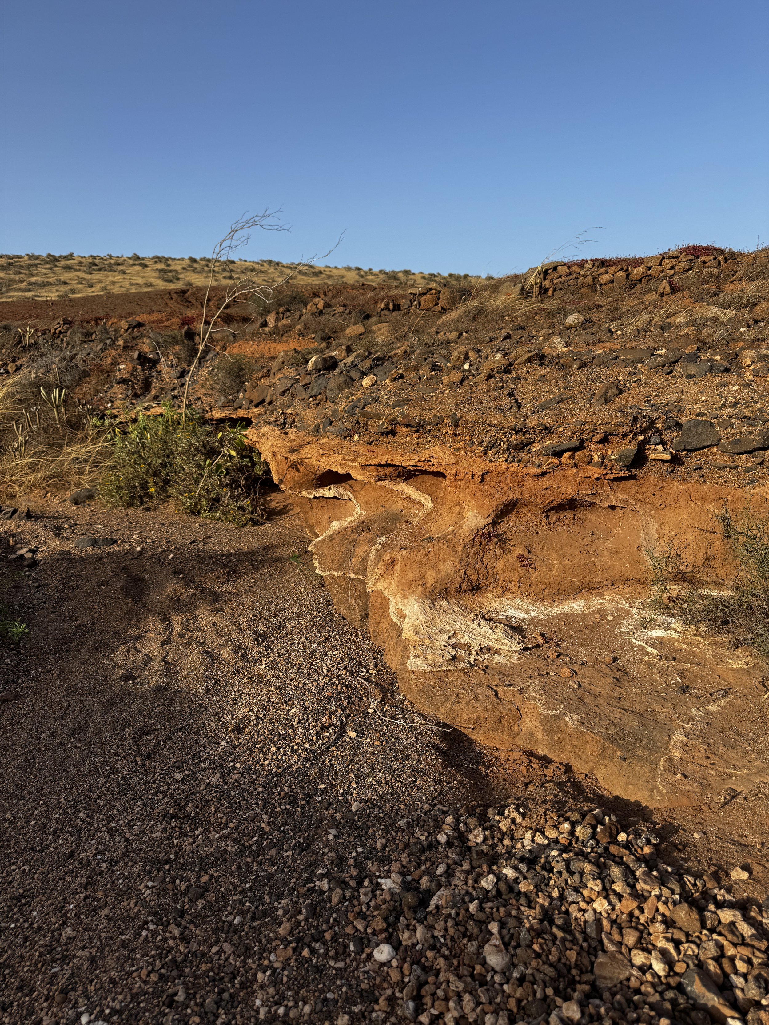 Volcanic rock formations in a hidden valley on Lanzarote.