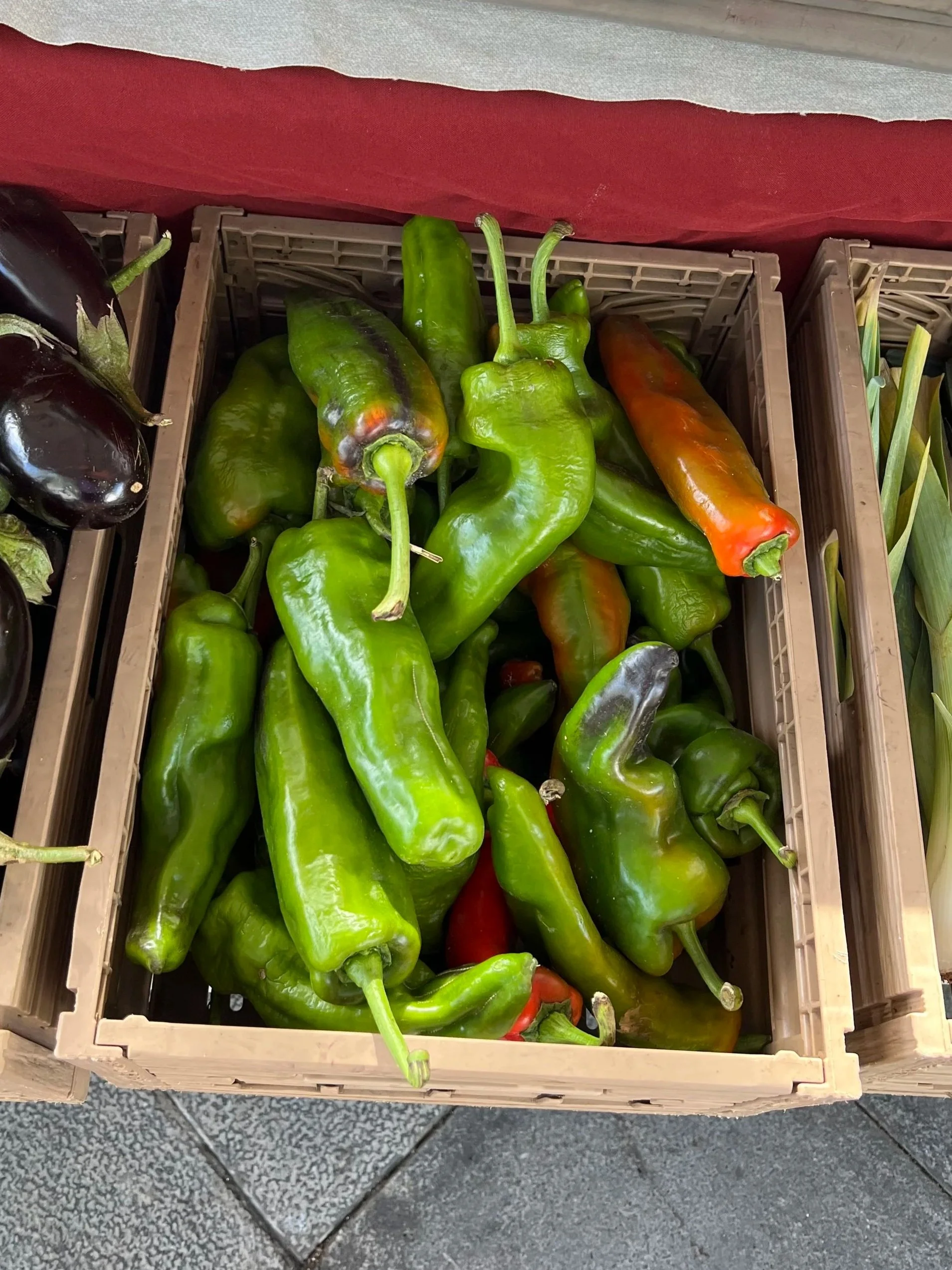 Organic vegetables from a local finca at Haría artisan market in Lanzarote