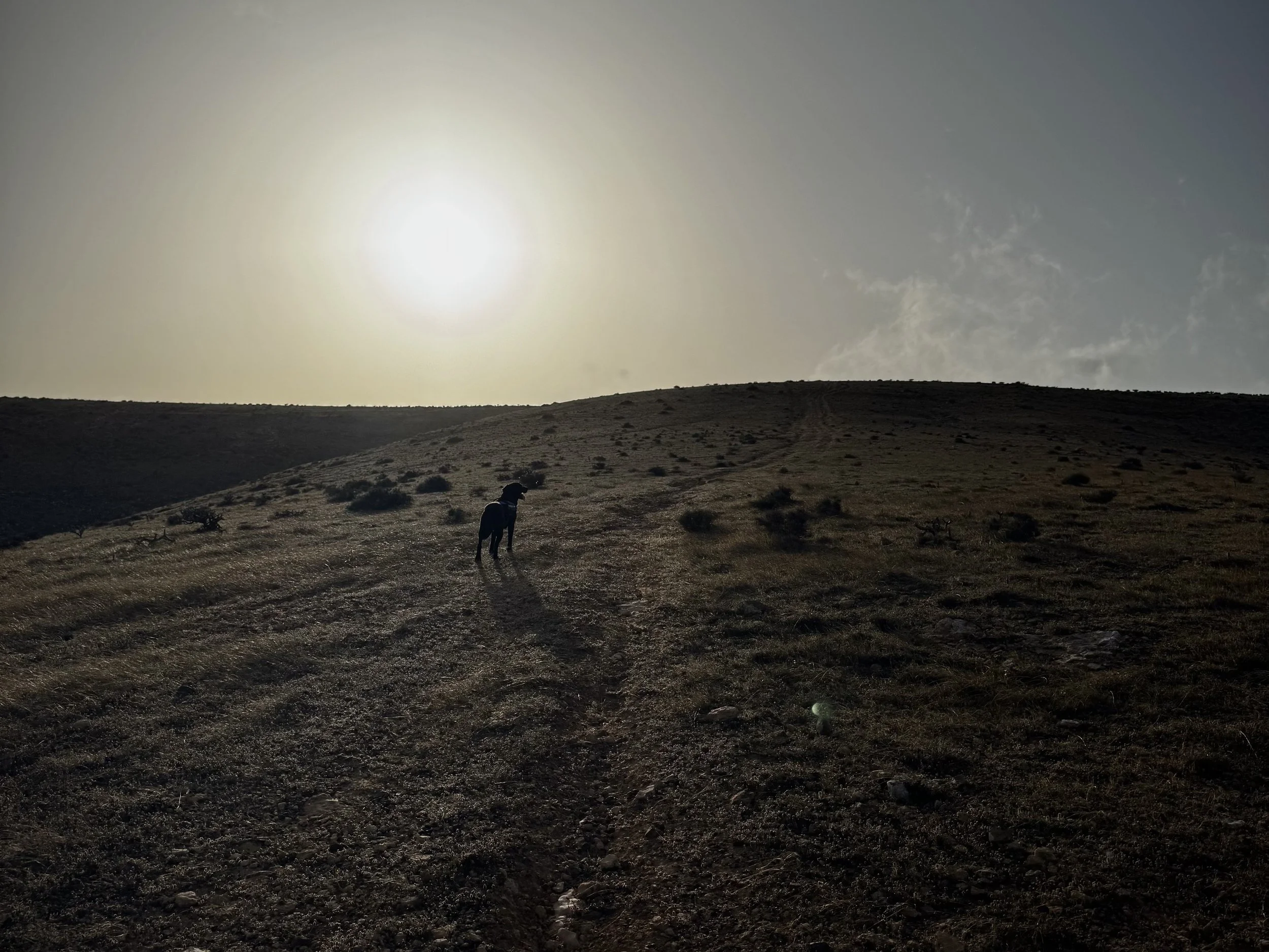 Walking through a volcanic landscape in Lanzarote