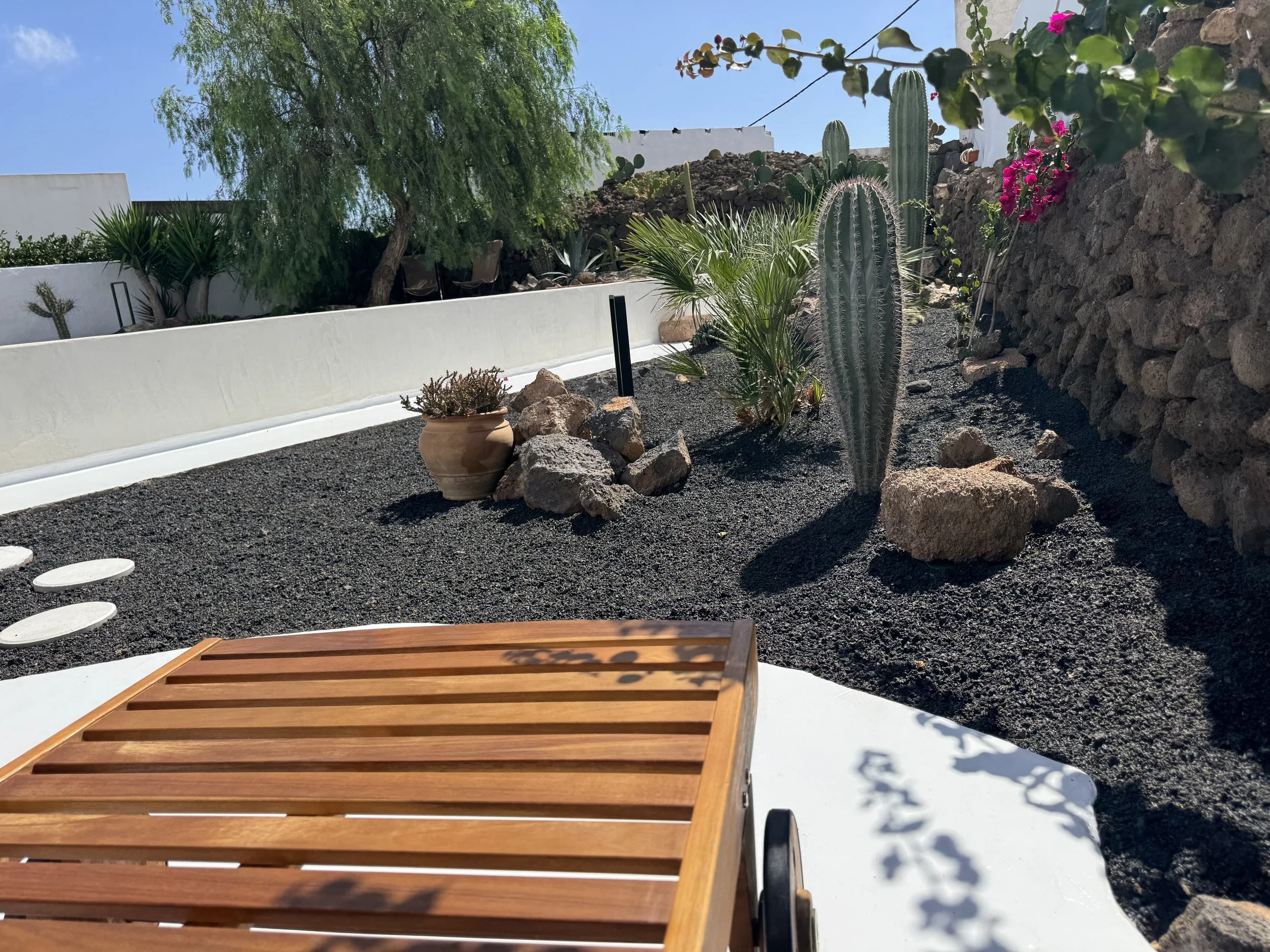 cactus garden