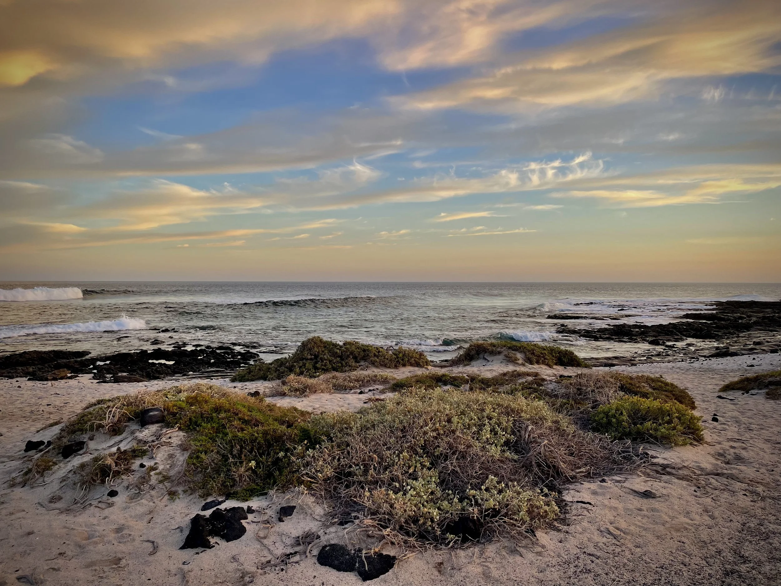 Fantásticas vacaciones en Lanzarote en alojamiento privado con piscina y un fantástico jardín de cactus, espacio privado, íntimo y acogedor.