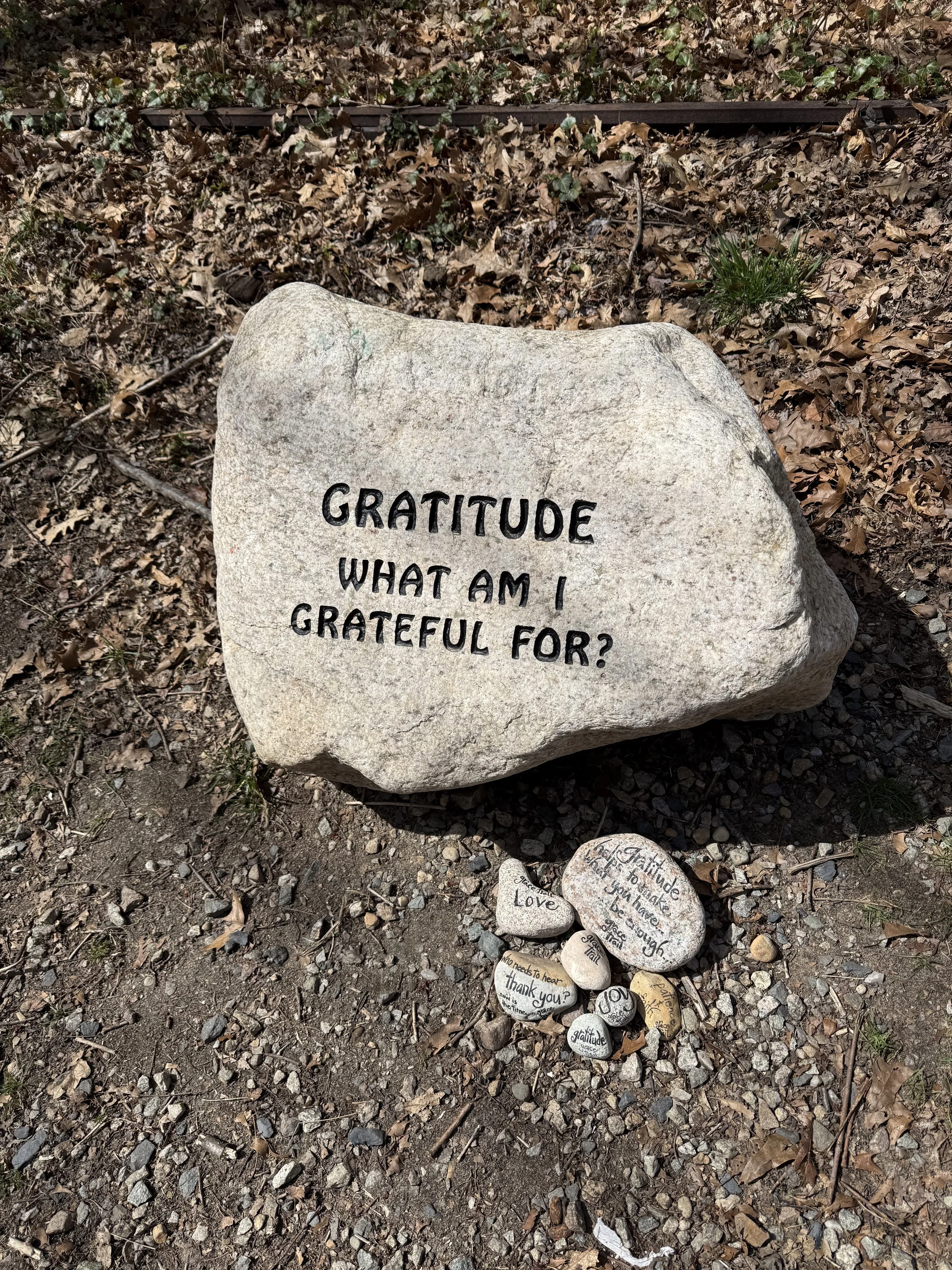Yin yoga classes in New Bedford, MA. A slow, floor-based practice for deep tension release, stress relief, and mindful relaxation. All levels welcome.