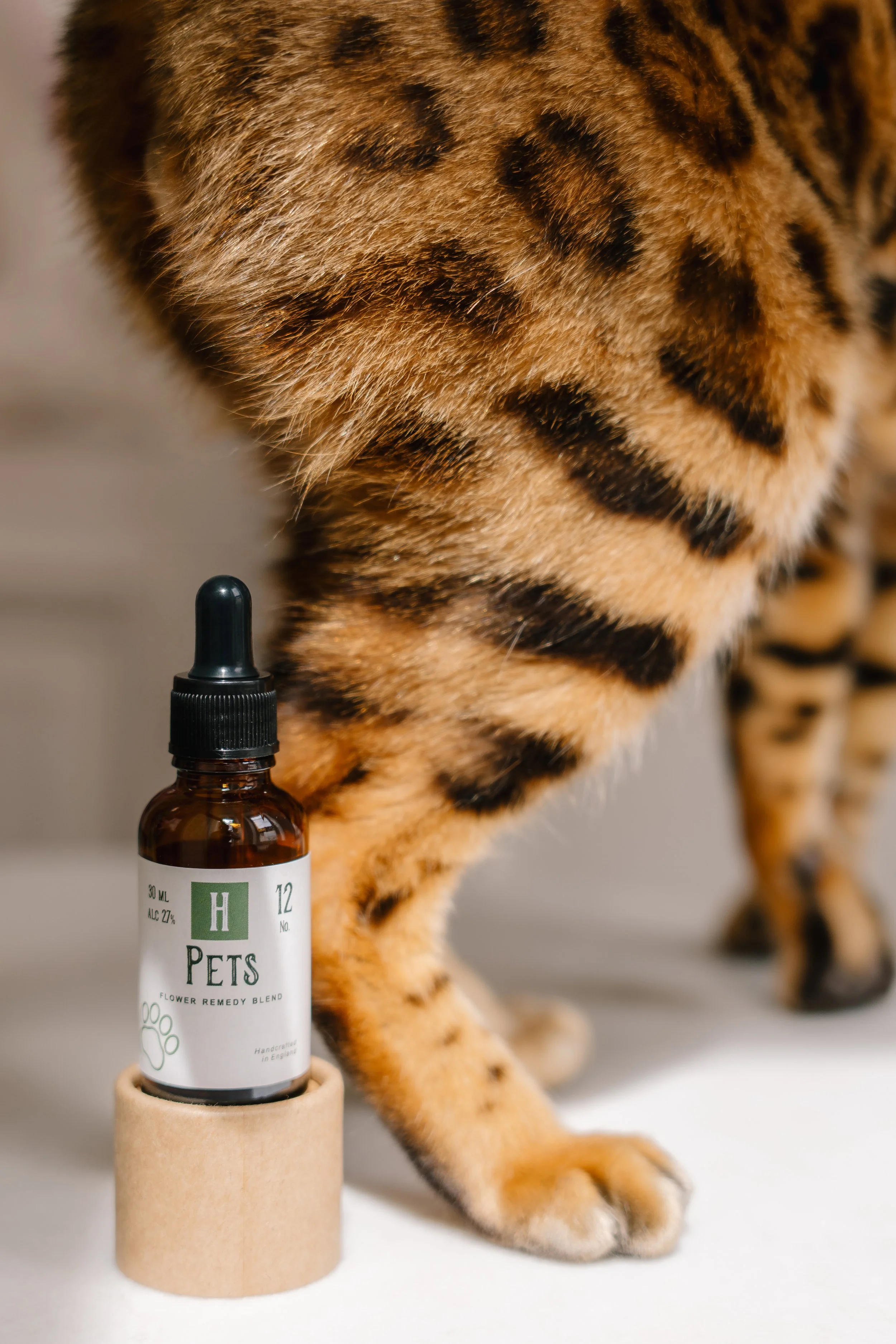 Close-up of a cat's furry side with a small bottle labeled 'Pets' in front of it. The cat's fur is orange with black spots, and the bottle has a dropper cap and a white label with green and black text.