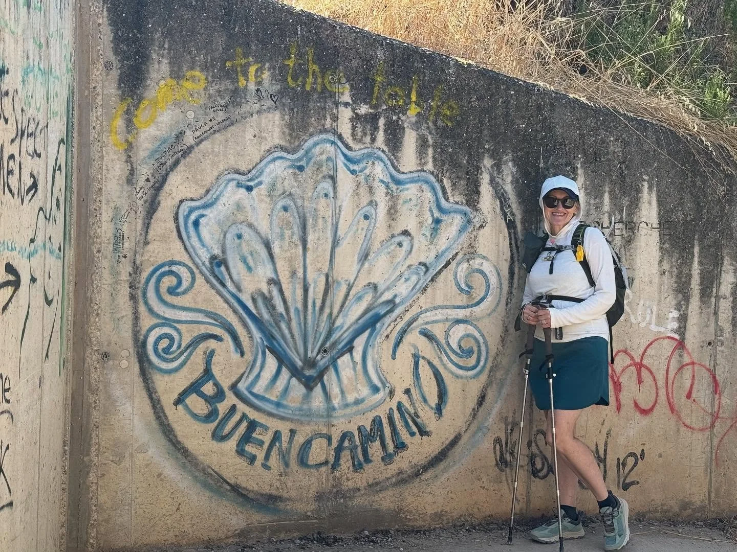Buen Camino!

Walking 500 miles, one step at a time&hellip;

Welcome to Camino Chronicles! This is where I&rsquo;ll share my journey along the Camino de Santiago &mdash; a 500-mile pilgrimage across Spain filled with breathtaking views, rich culture,