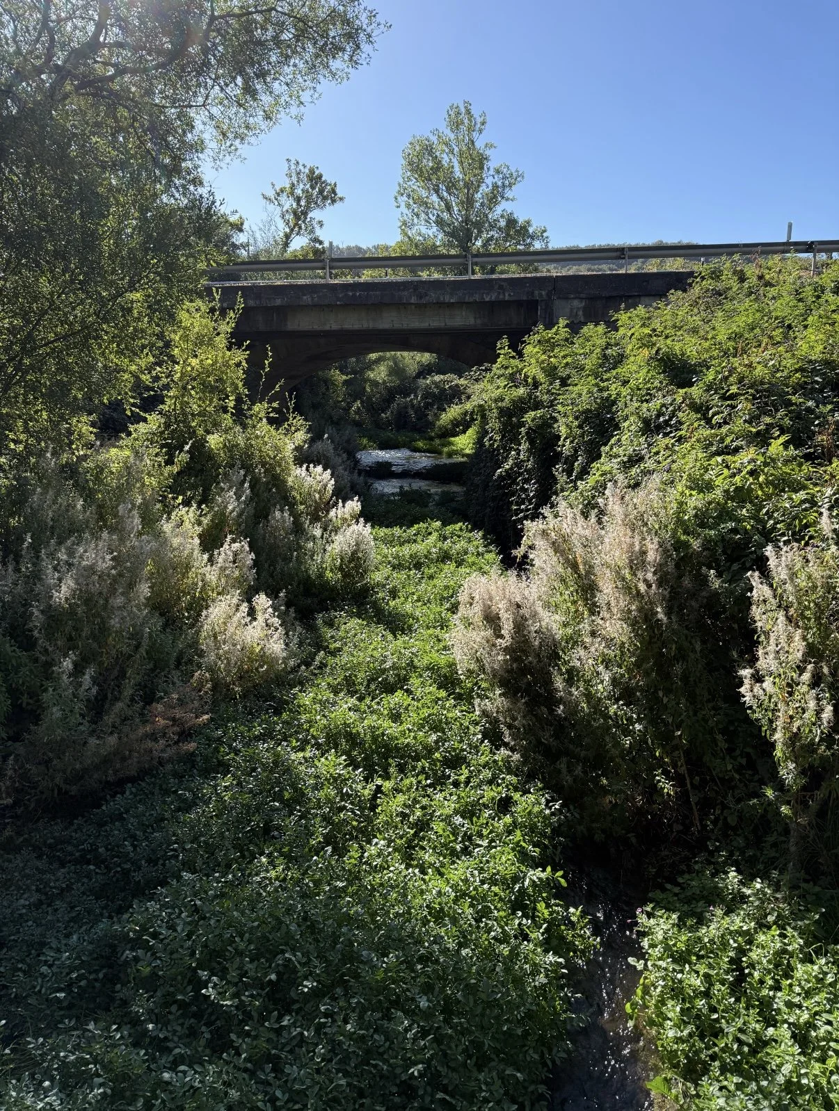 The Benefits of Slow Travel: Lessons From the Camino de Santiago