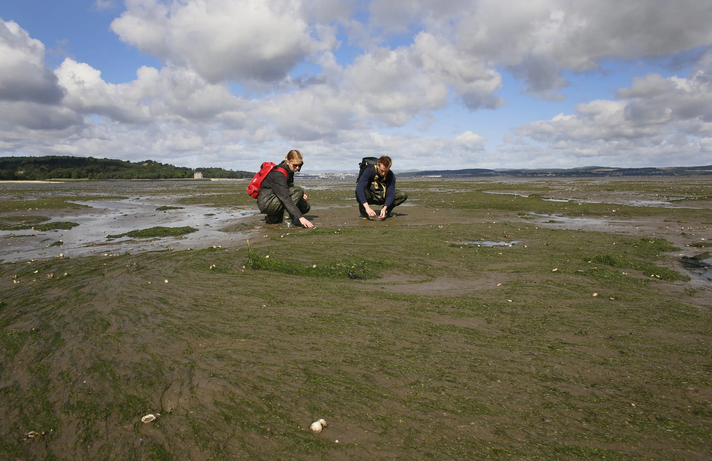 Restoration Forth ProjectJ45467.jpg