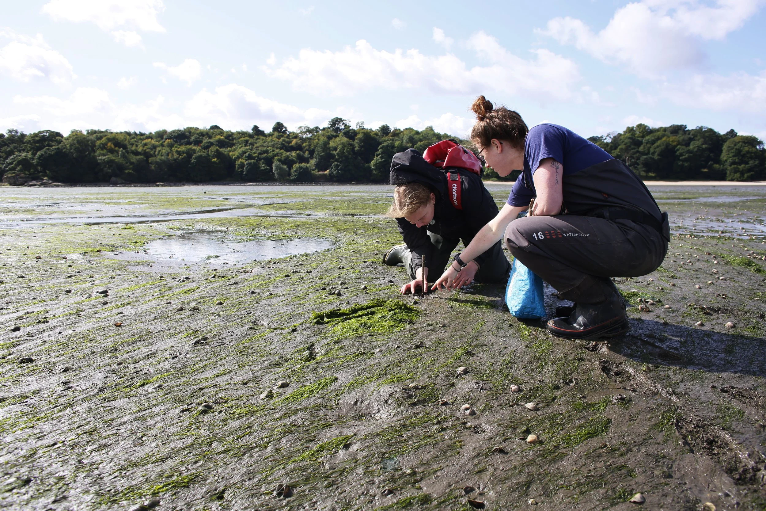 Restoration Forth ProjectJ45476.jpg