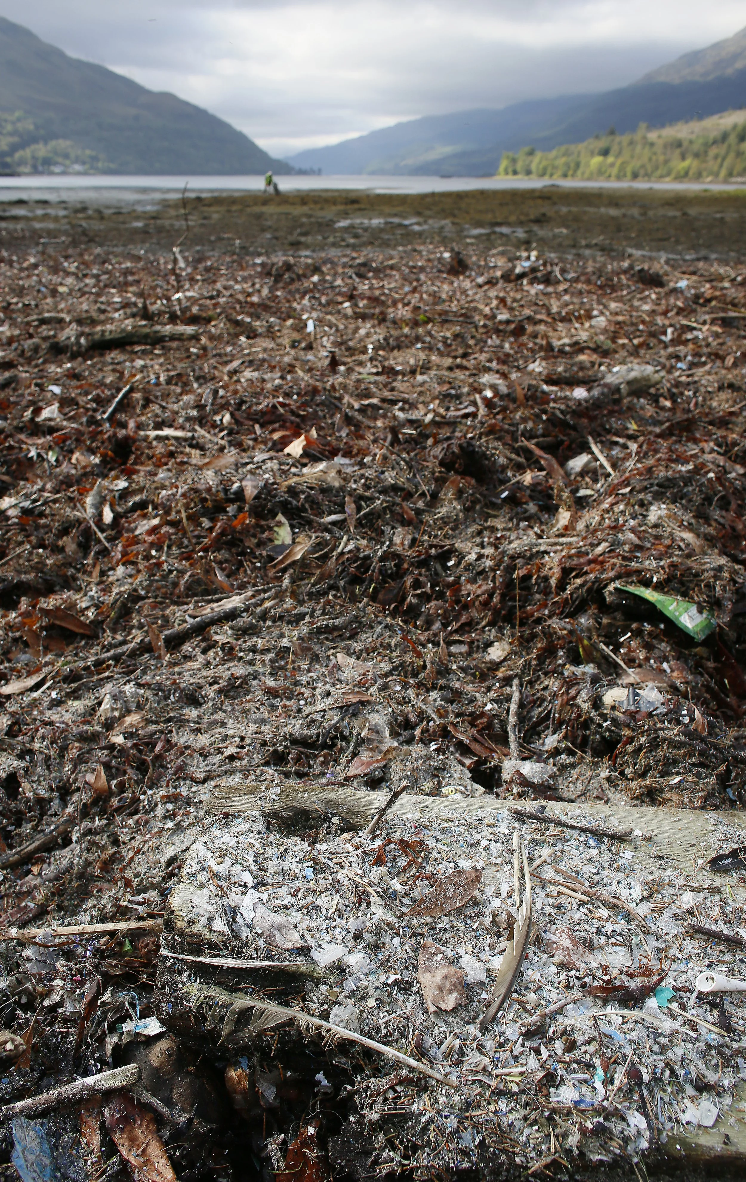 Arrochar beach cleanJ45535.jpg