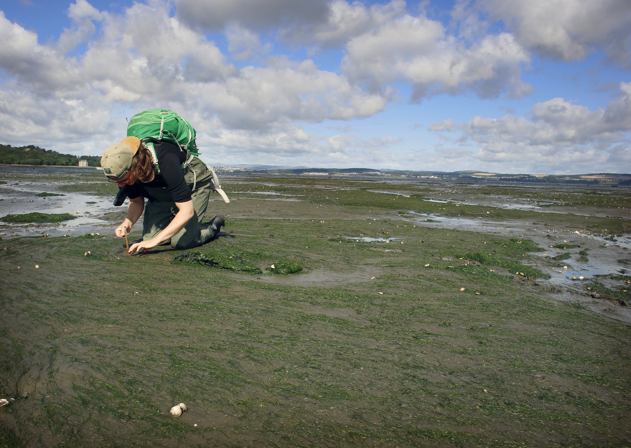 Restoration Forth ProjectJ45468.jpg