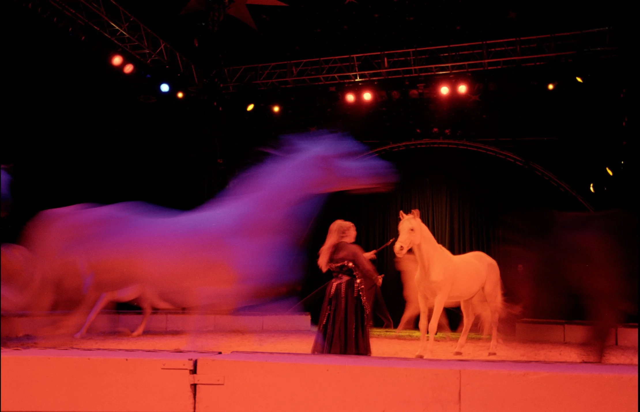 Big Top193.jpg