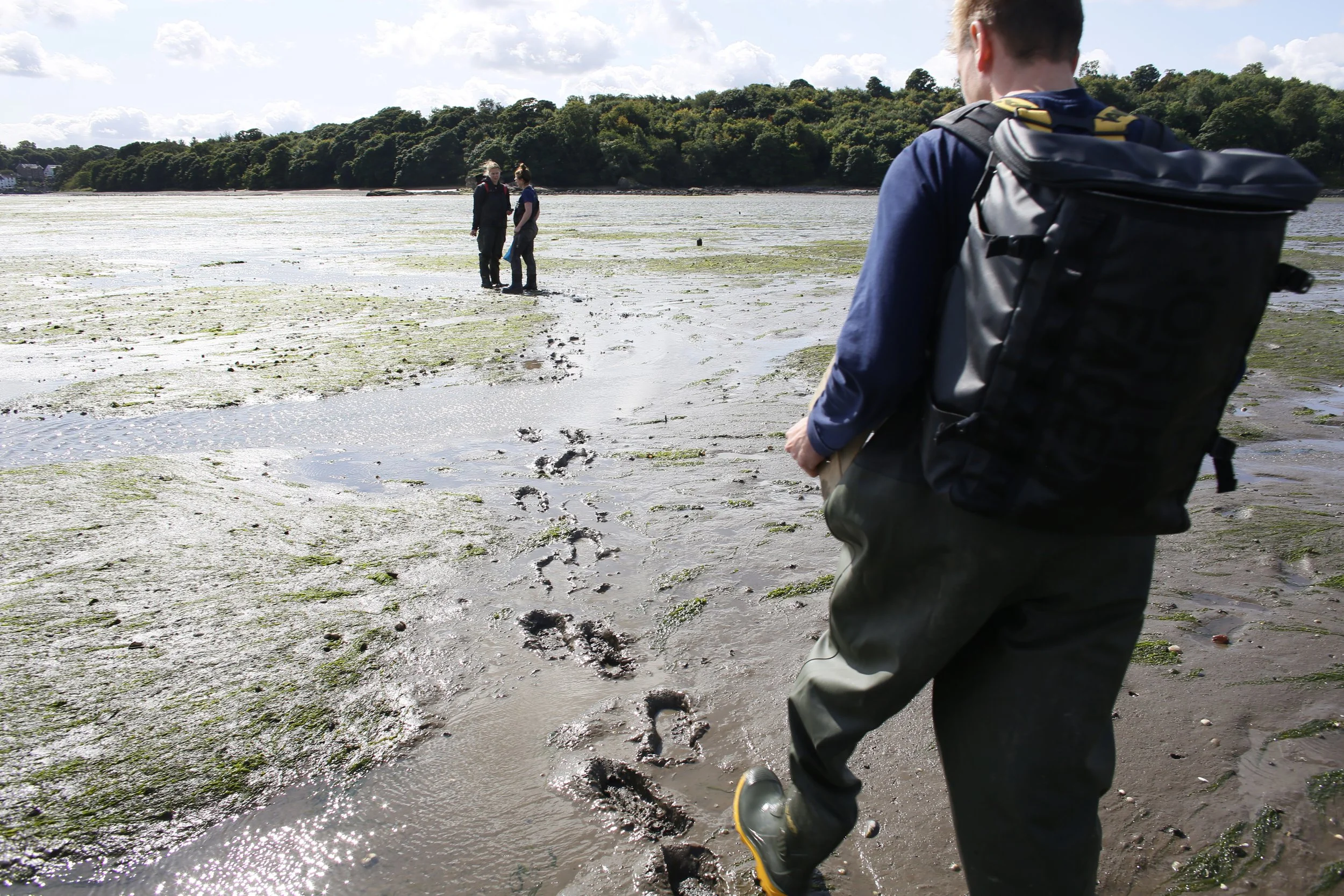 Restoration Forth ProjectJ45478.jpg