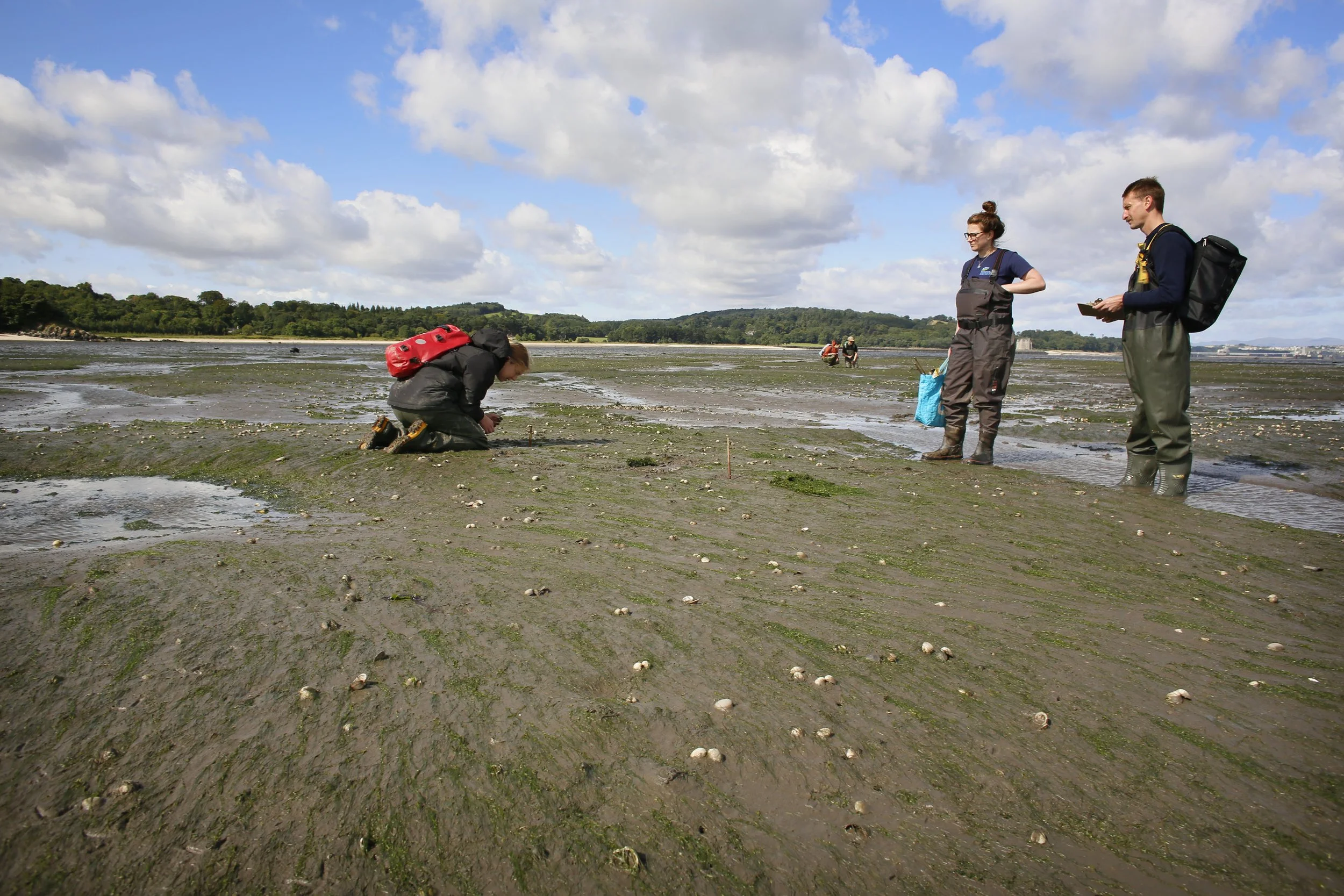 Restoration Forth ProjectJ45477.jpg