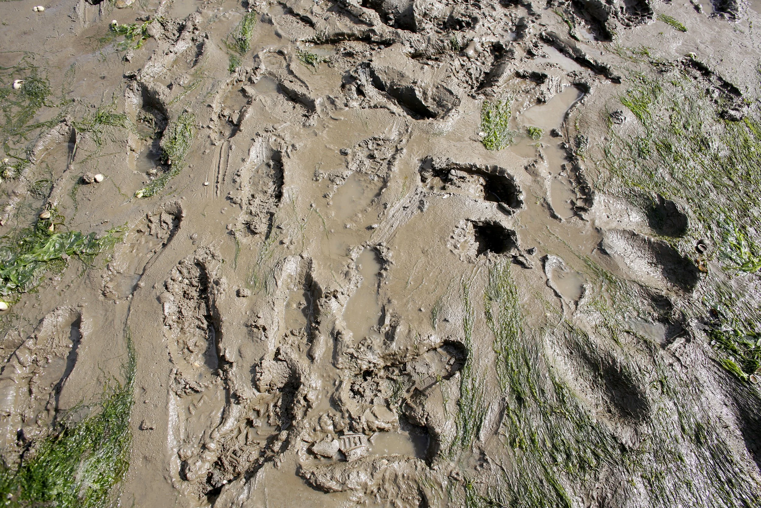 Restoration Forth ProjectJ45475.jpg