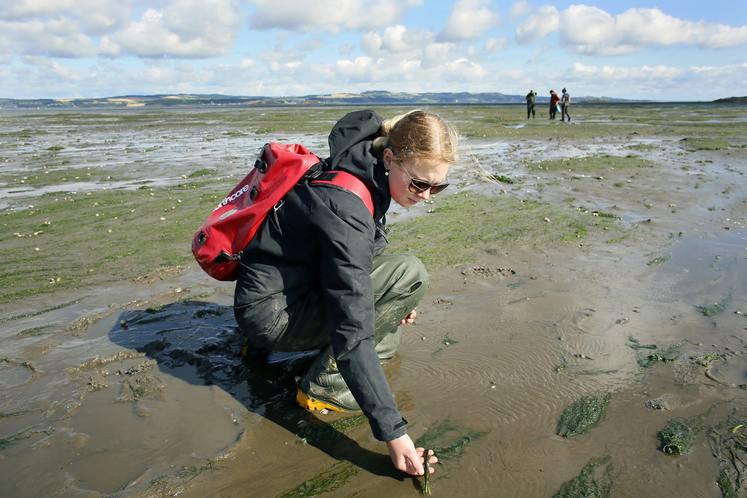 Restoration Forth ProjectJ45465.jpg