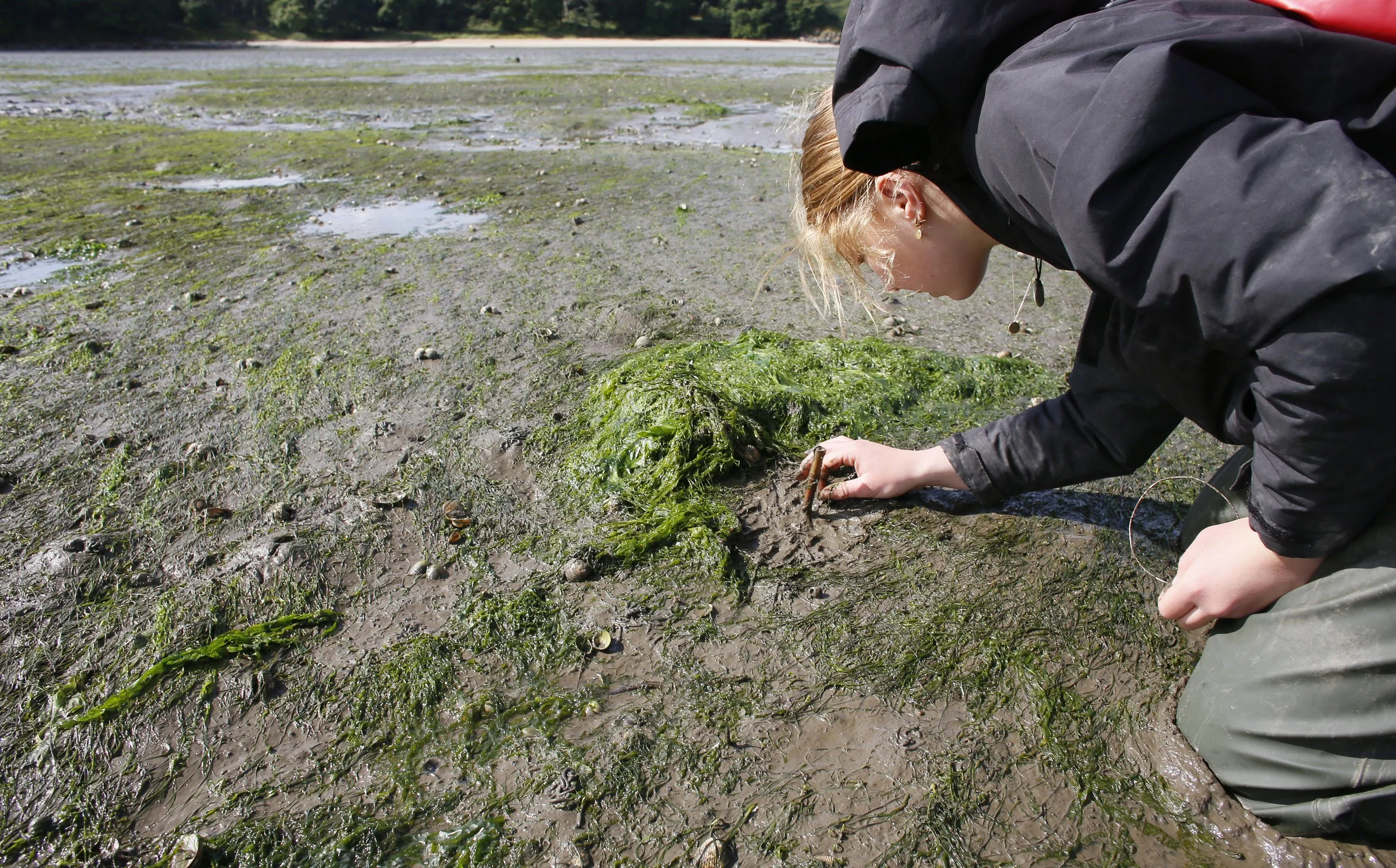 Restoration Forth ProjectJ45480.jpg