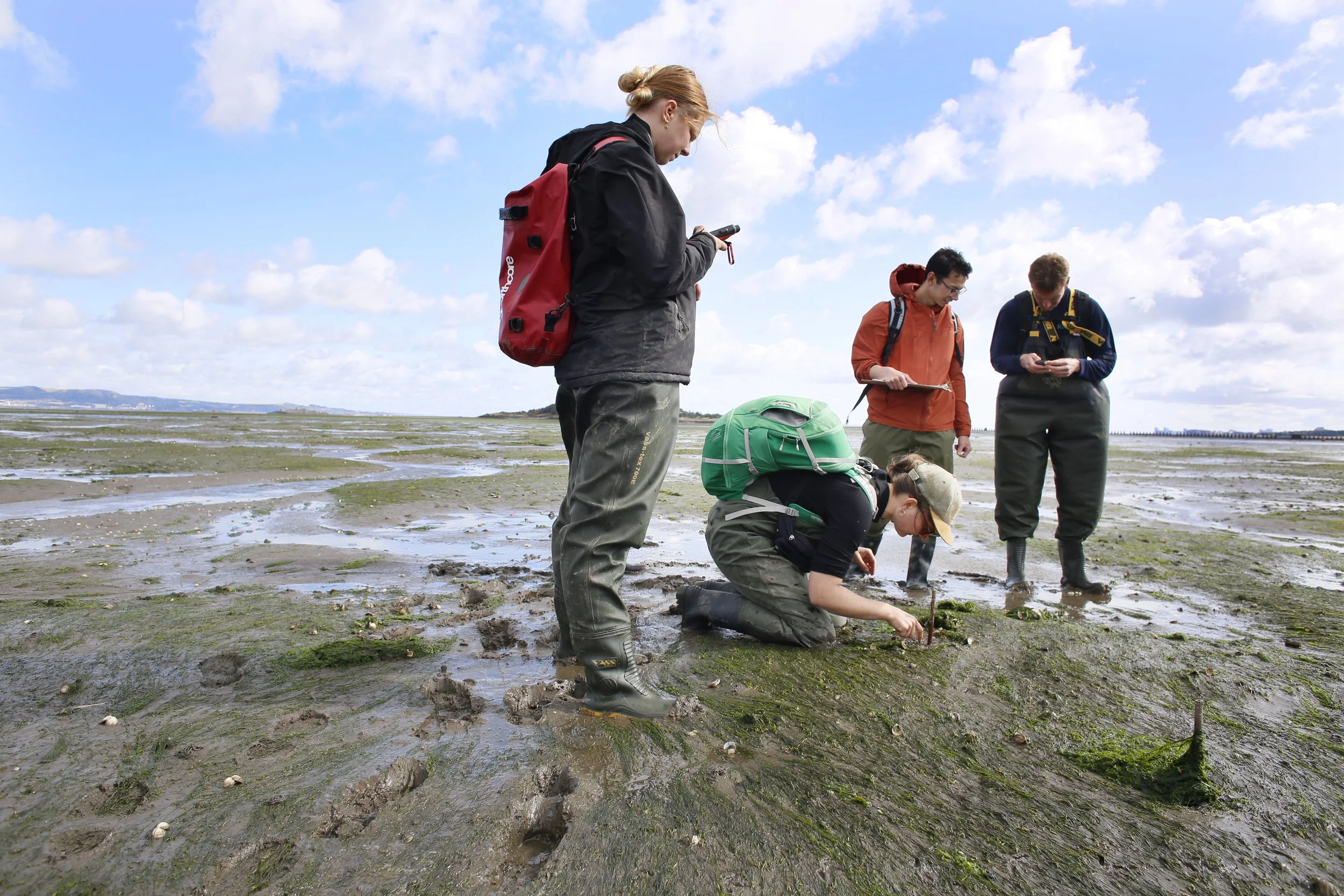 Restoration Forth ProjectJ45471.jpg