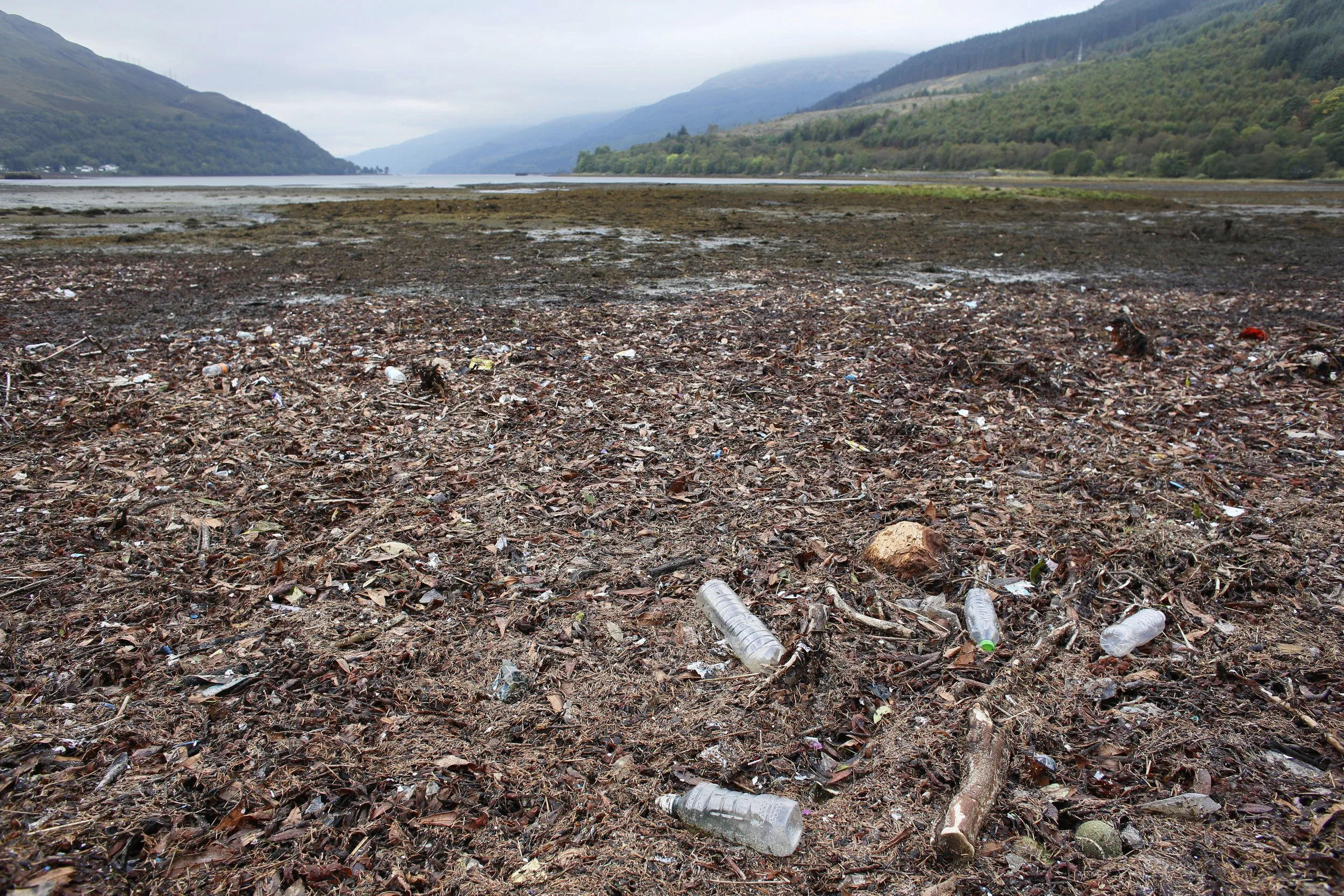 Arrochar beach cleanJ45527.jpg
