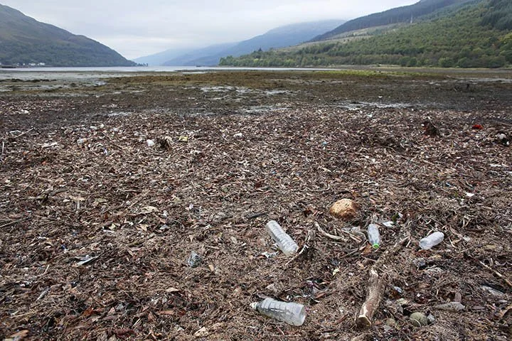 Arrochar beach cleanlow.jpg
