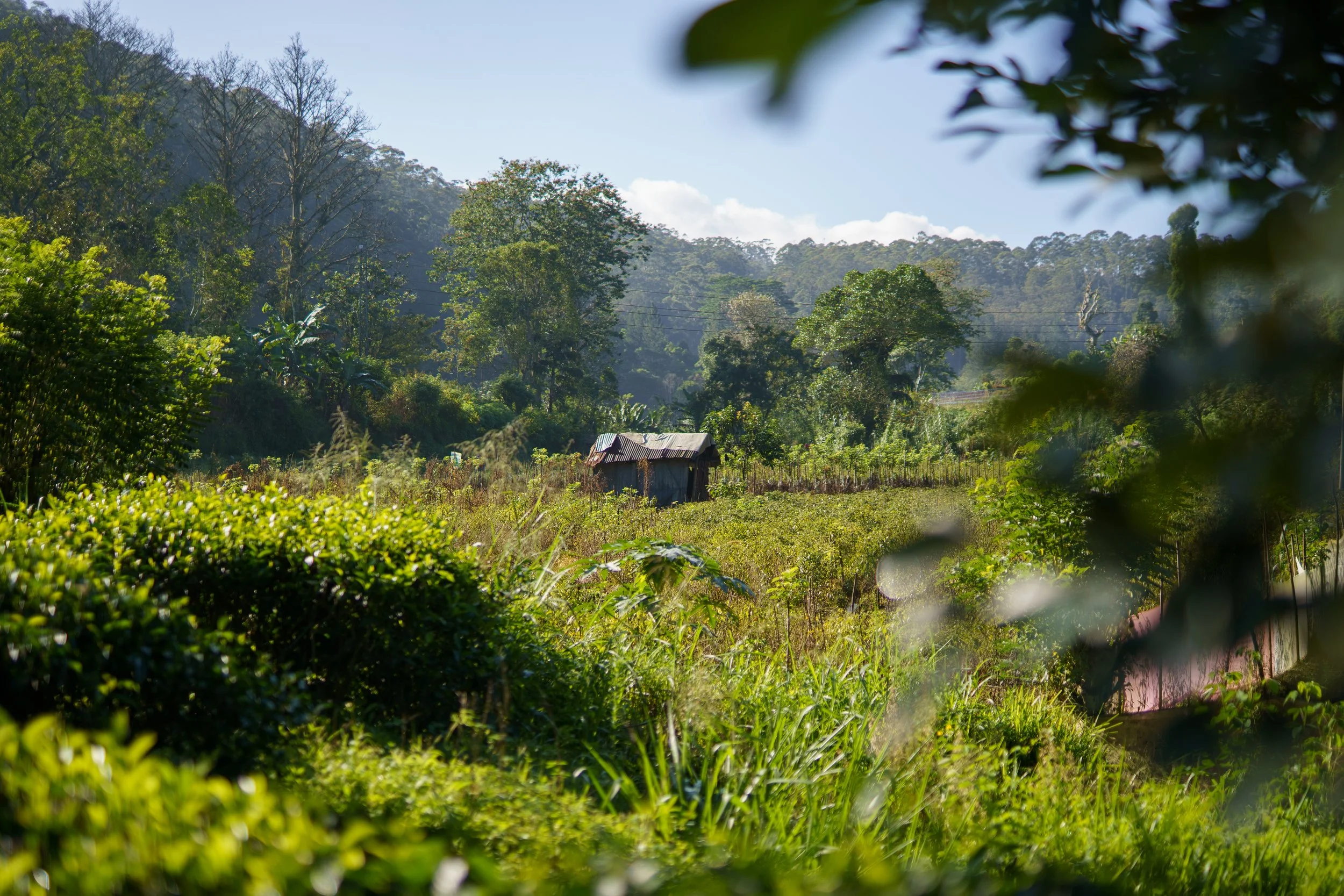 Diverse stills fra lightroom-55.jpg