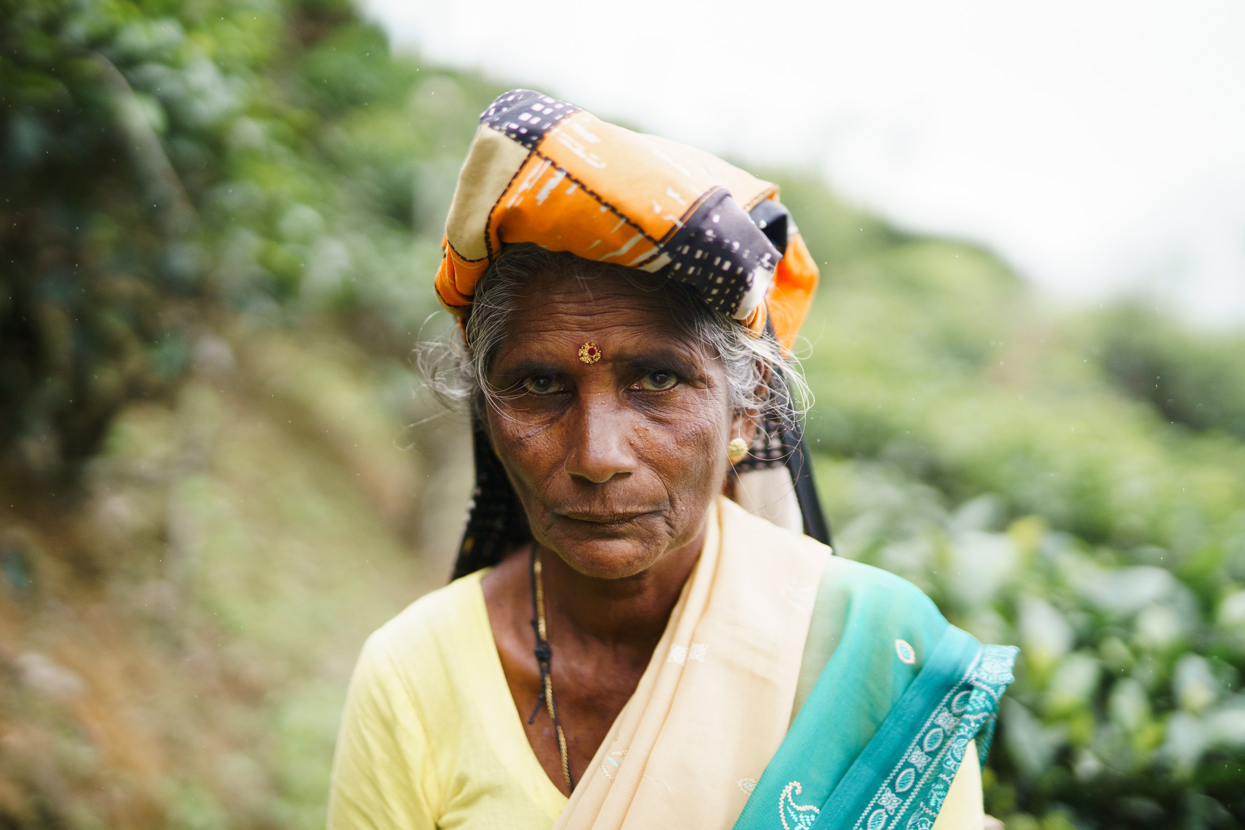 Diverse stills fra lightroom-41.jpg