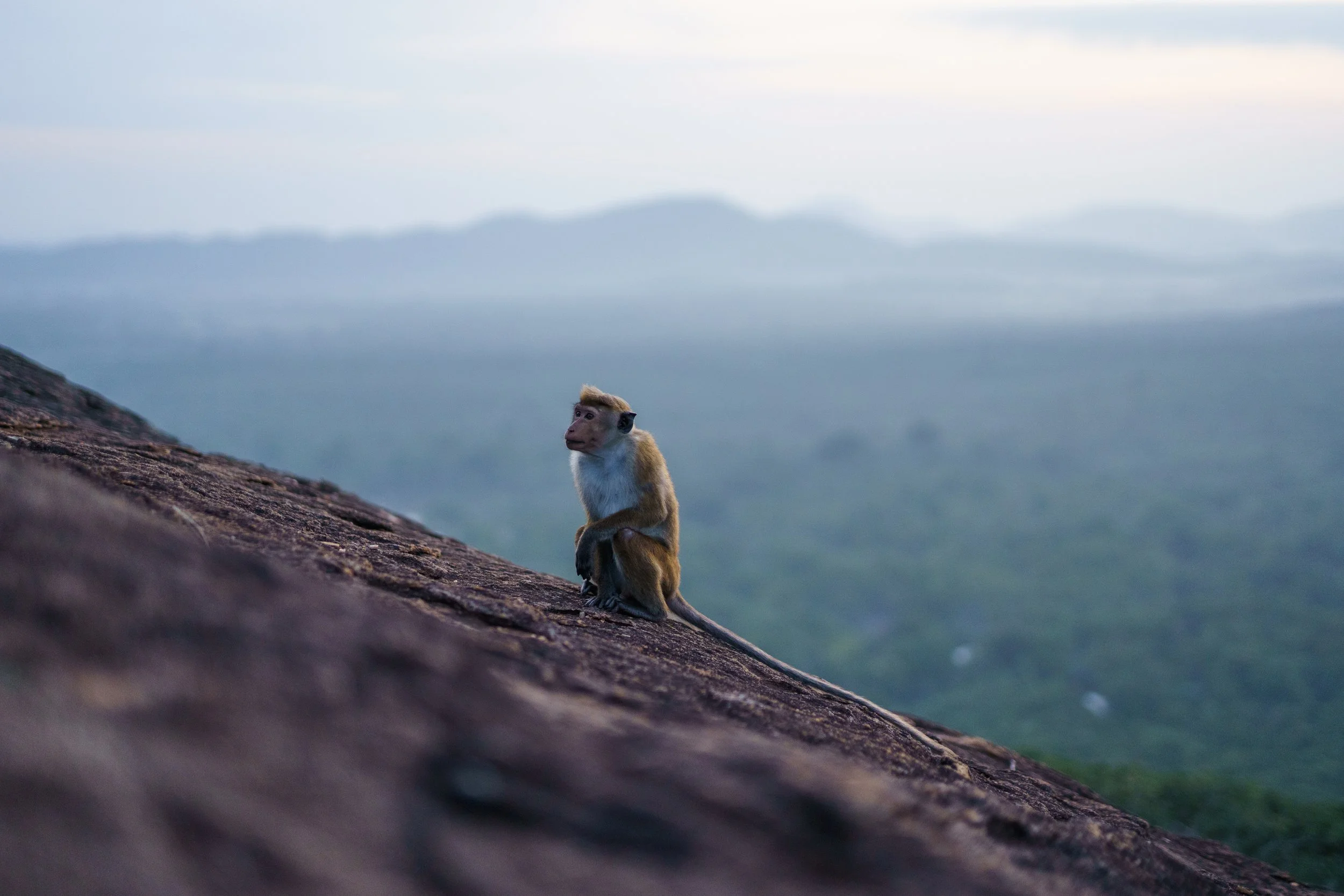 Diverse stills fra lightroom-28.jpg