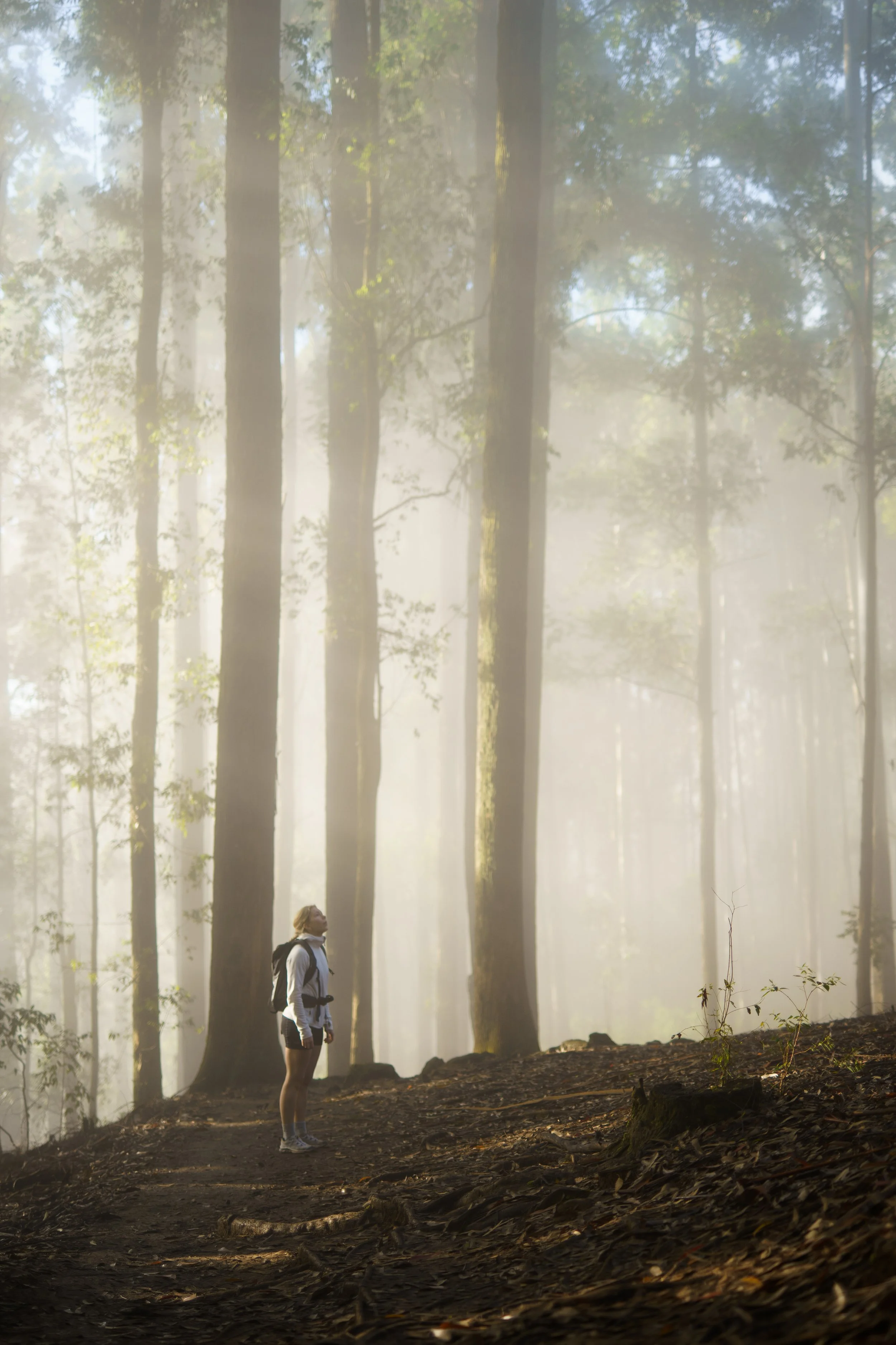 Diverse stills fra lightroom-54.jpg