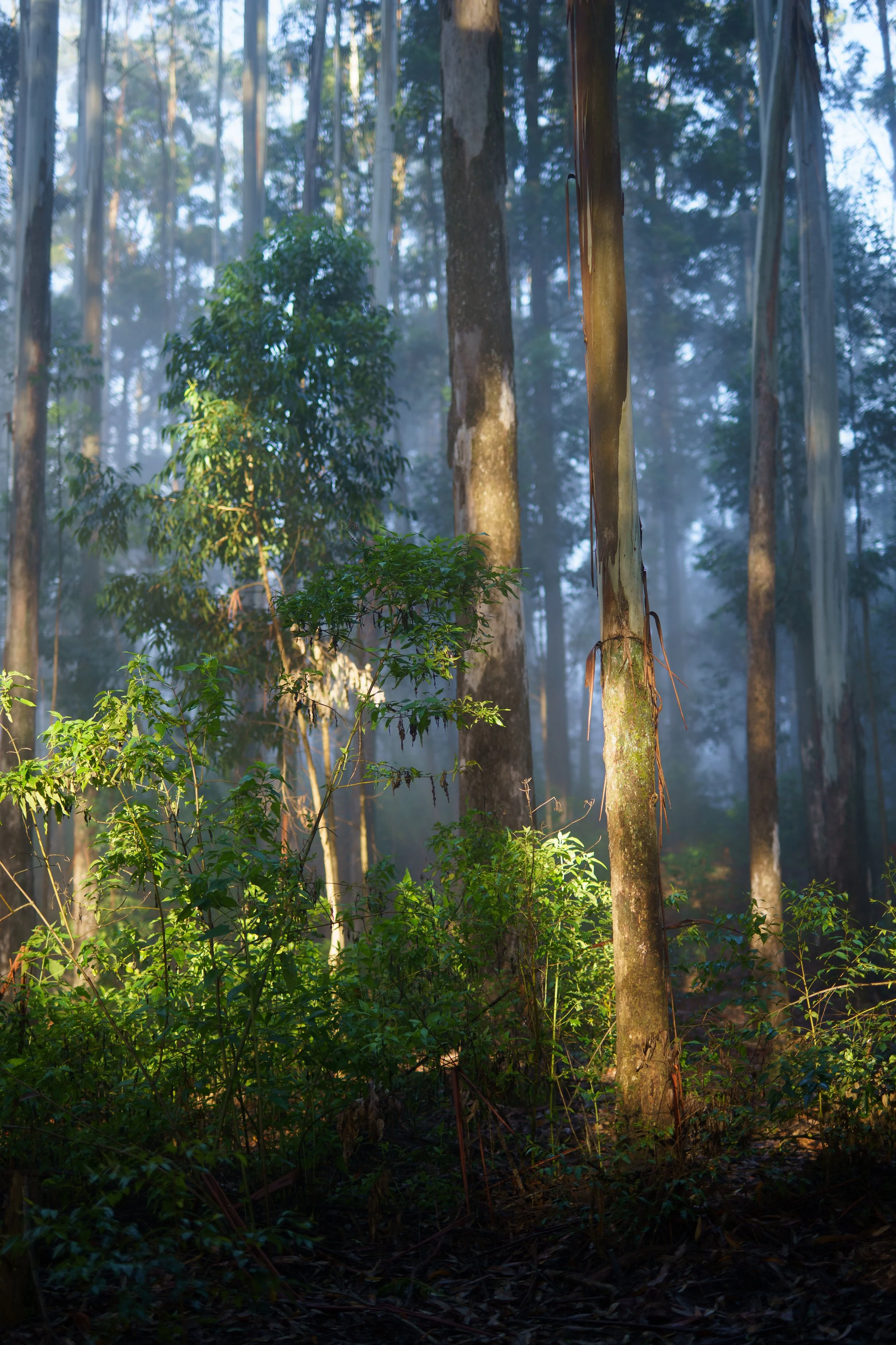 Diverse stills fra lightroom-46.jpg