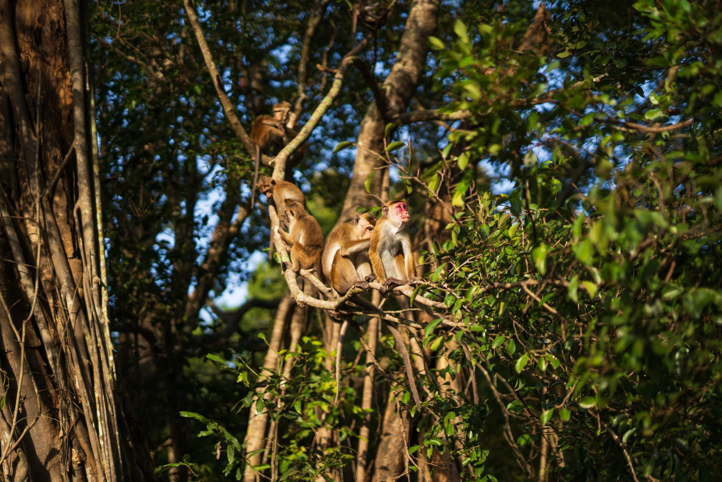 Diverse stills fra lightroom-39.jpg