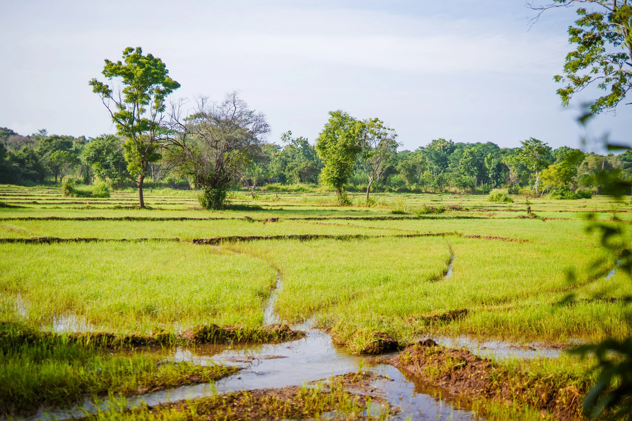 Diverse stills fra lightroom-35.jpg