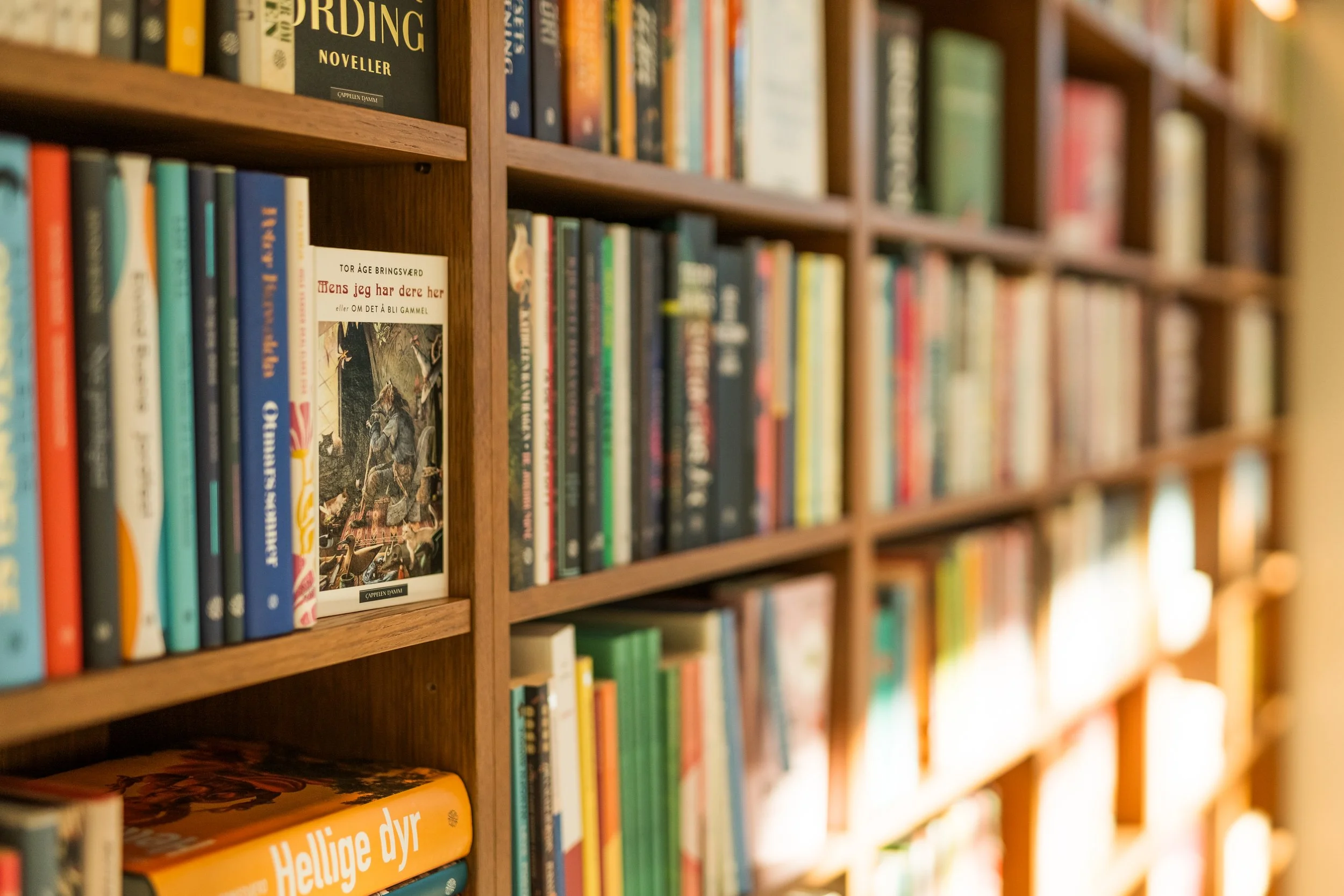 Elling bokkafé_Sept 2025_Foto_Maria Vihovde - 16.jpg